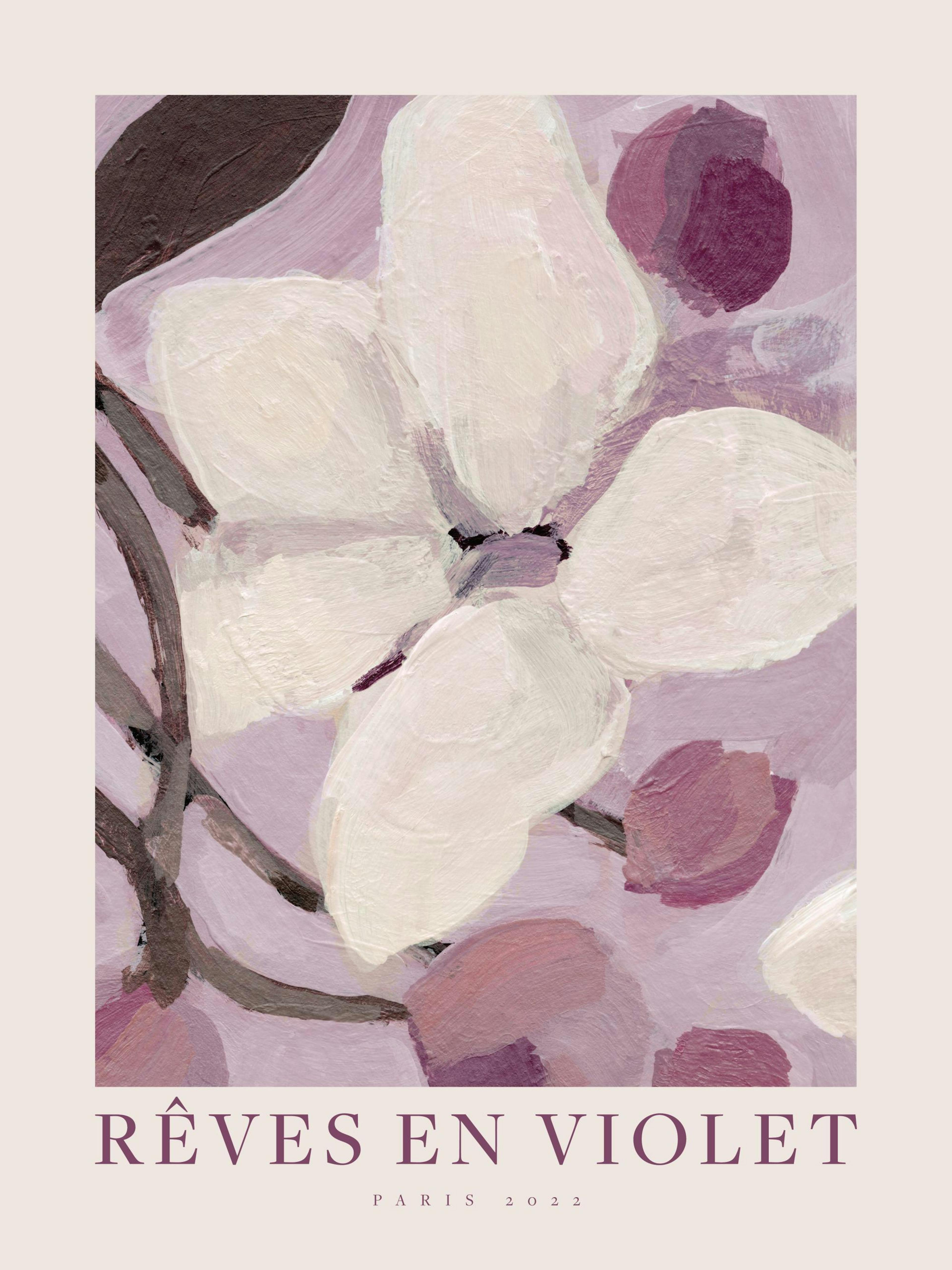 Pehmeä valkoinen kukka maalaus, jossa on violetti ja vaaleanpunainen tausta. Teksturoitu, öljyvärimäinen tyyli.