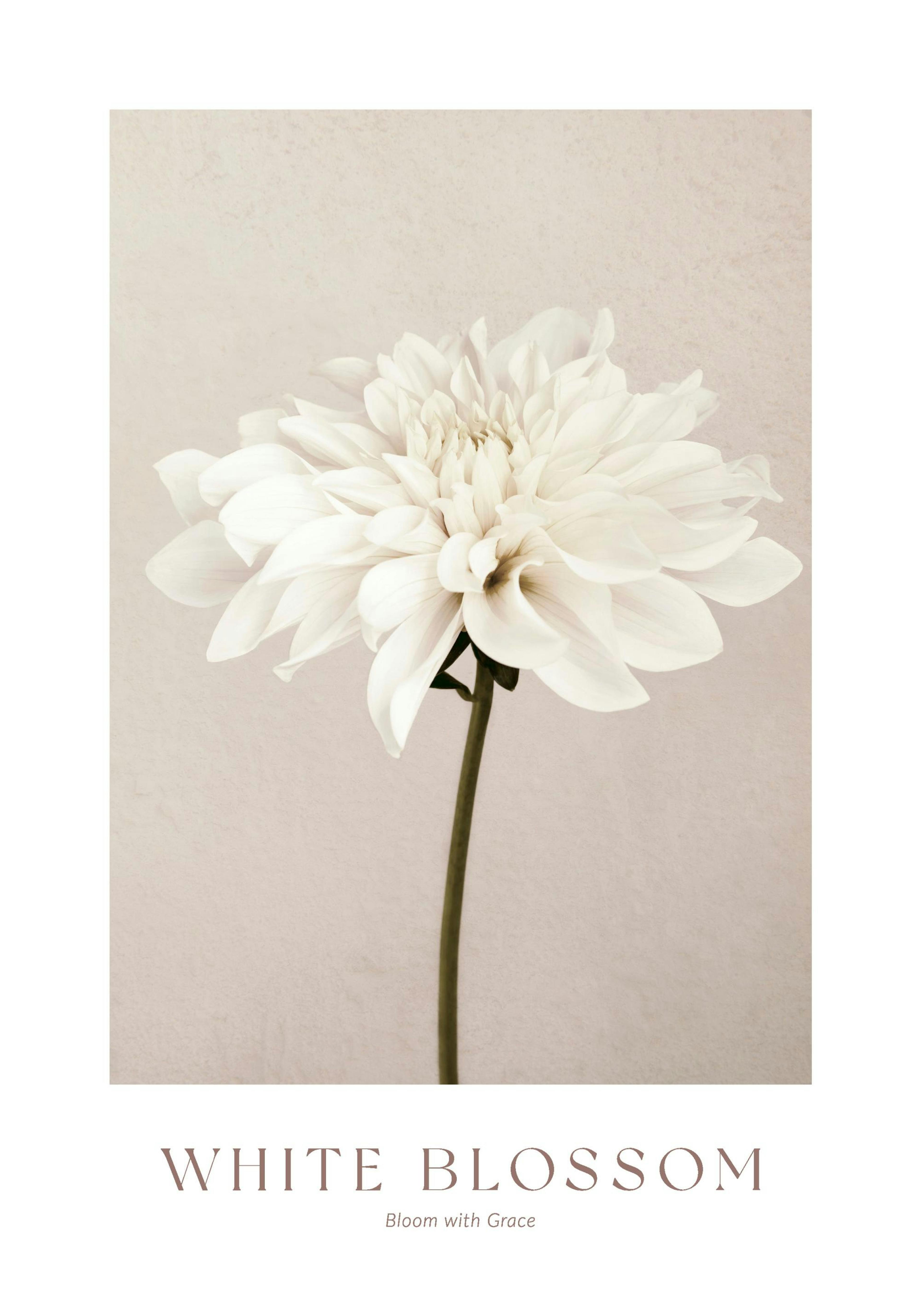 Product image: 1