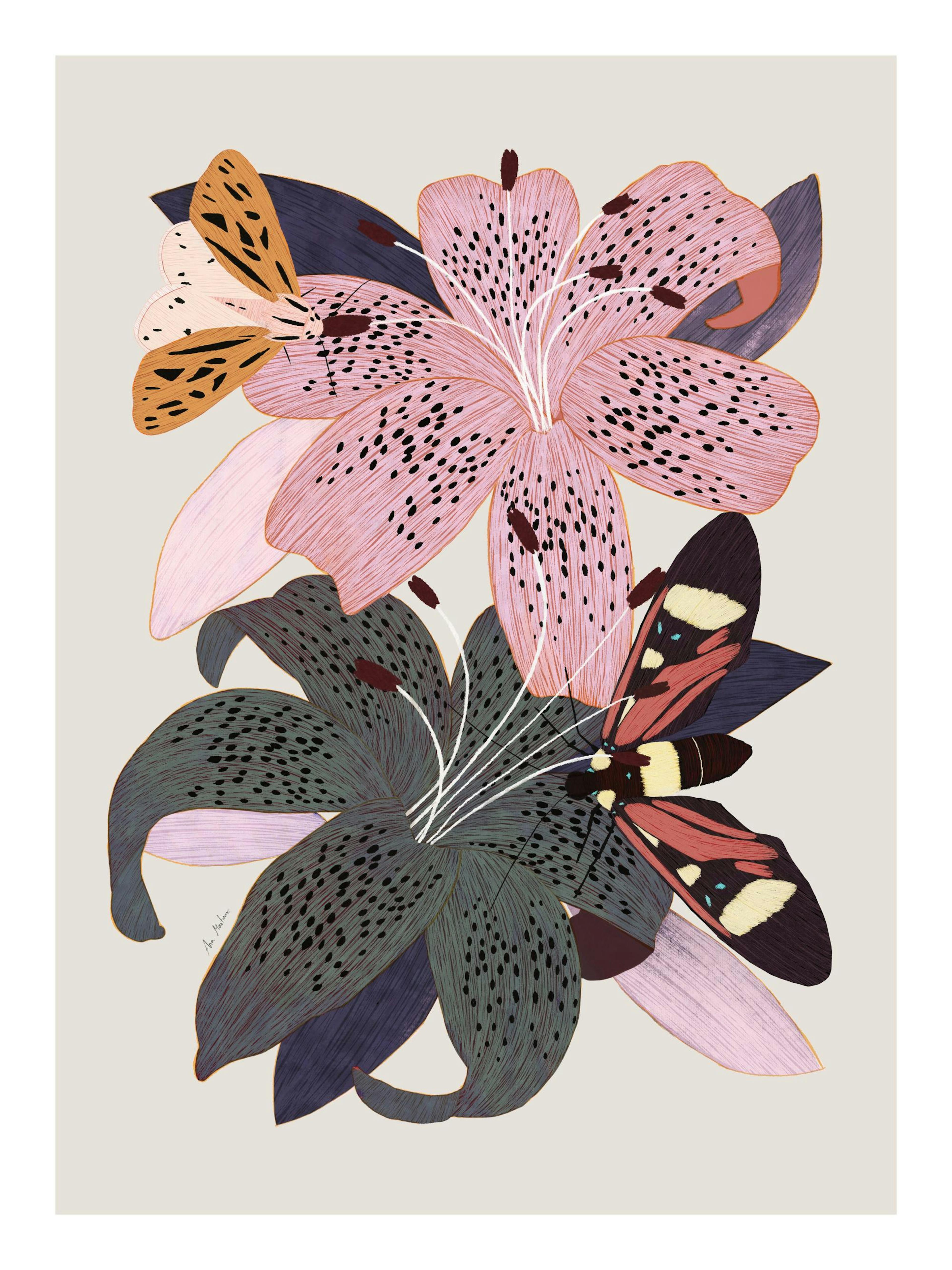 Pink and black spotted lilies with colorful butterflies print poster by Ana Martinez.
