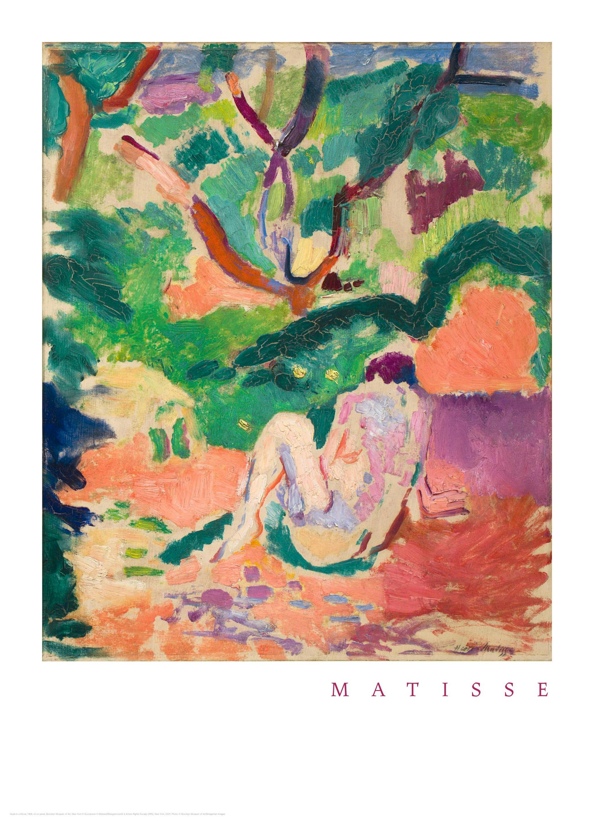 Prints - Matisse - Nude in a Wood Print (30x40 cm) - Matisse art prints