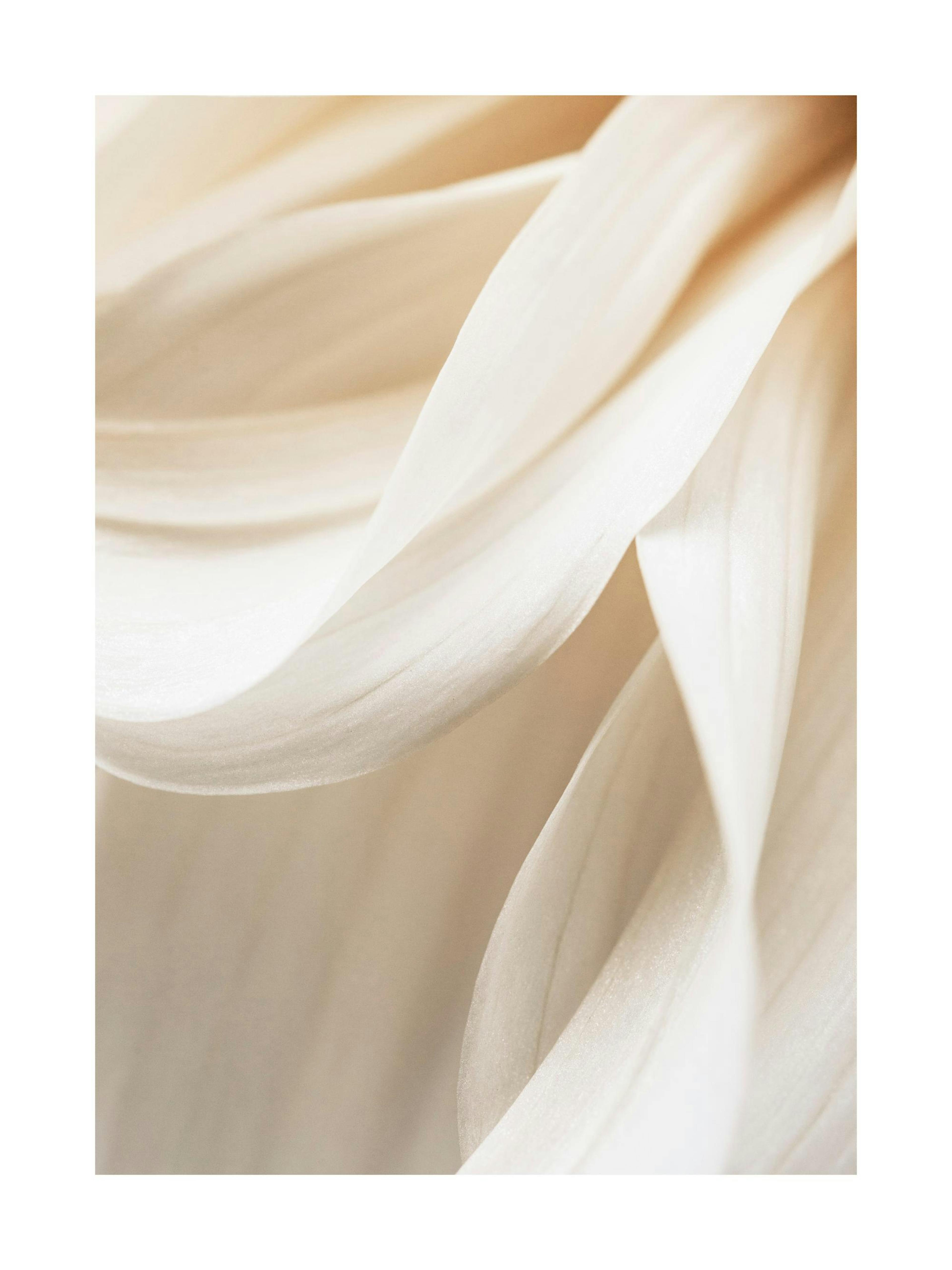Nærbilde av hvite blomsterblader, varme toner, myke kurver, minimalistisk floral plakat.