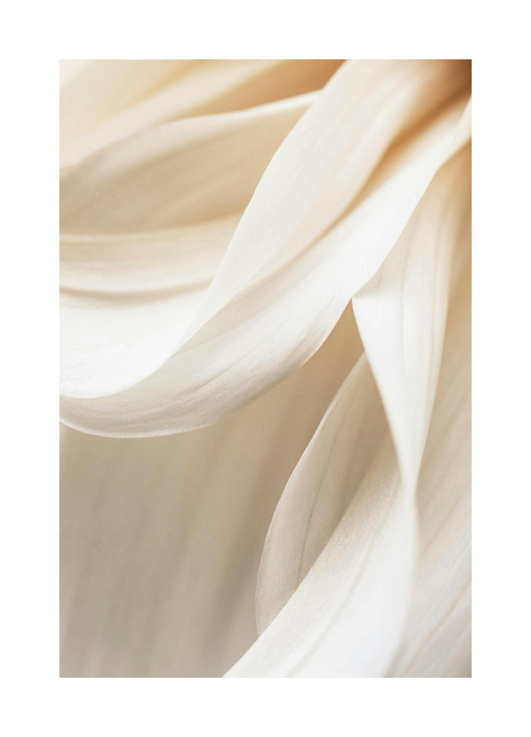 Warm Flower No2 Print (21x30 cm)