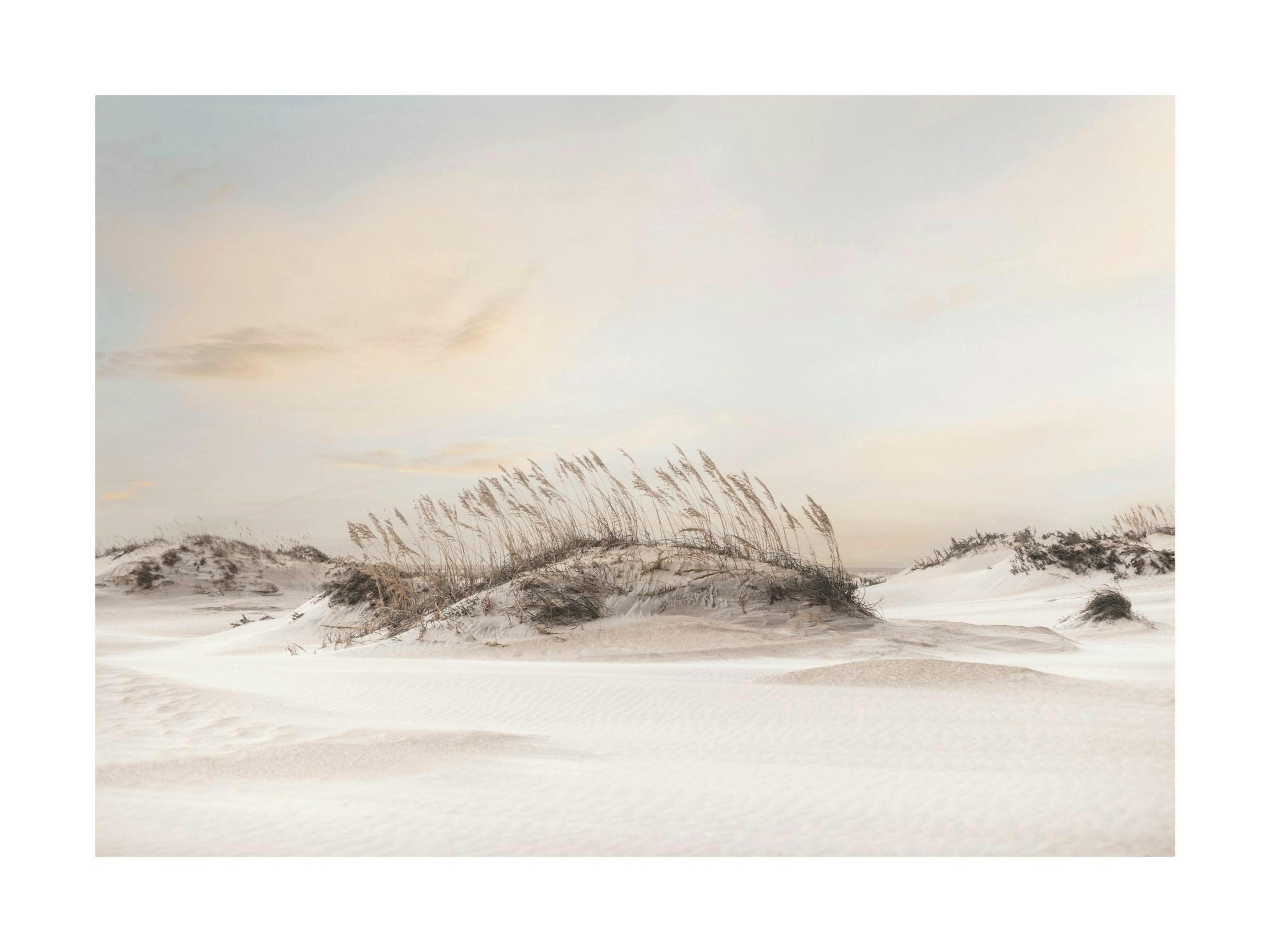 Dune landscape print with sand dunes and dry grass under a soft sky, perfect as a poster.