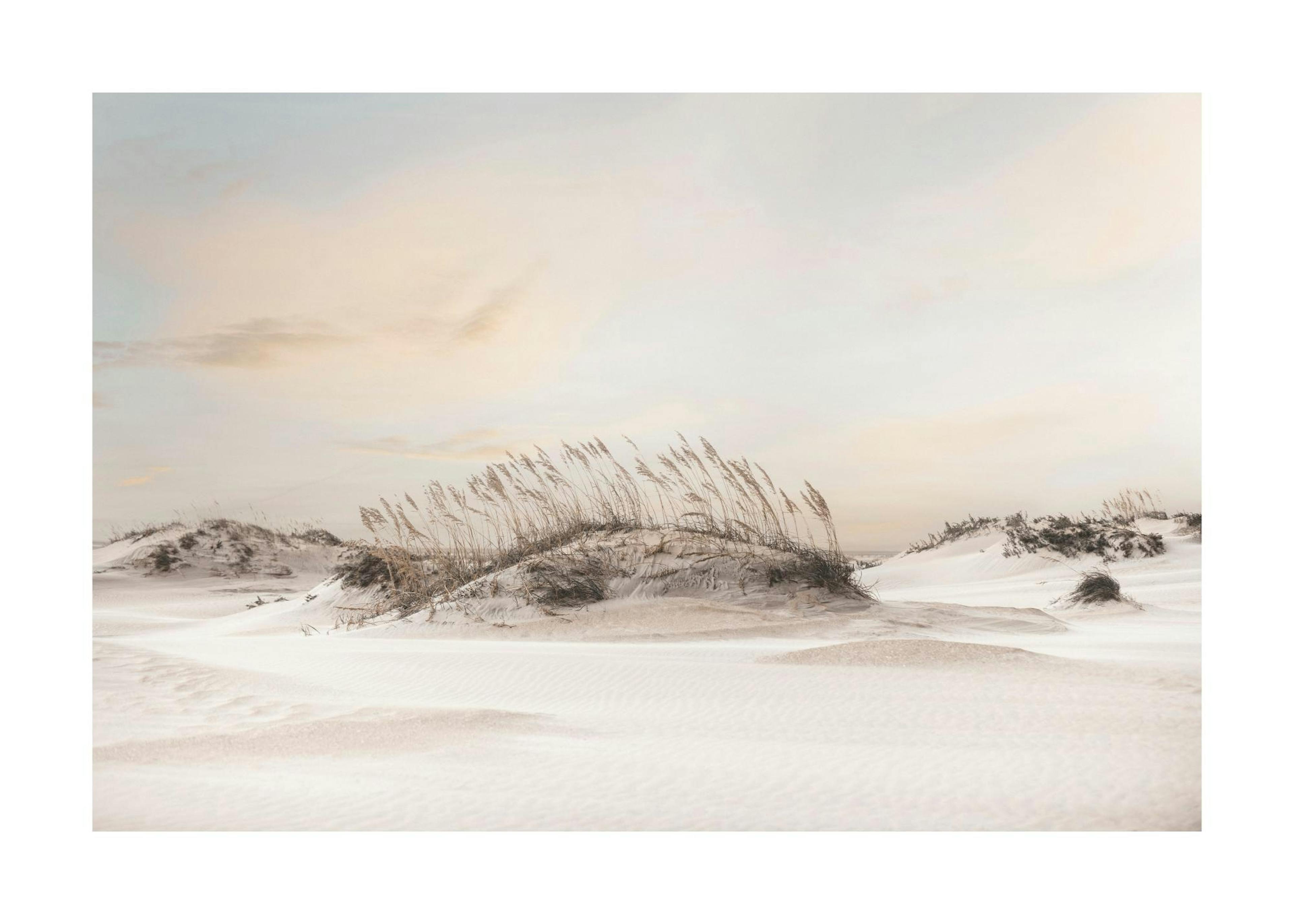 Affiche photo paysage de dunes de sable blanc avec de lherbe sèche, ciel clair
