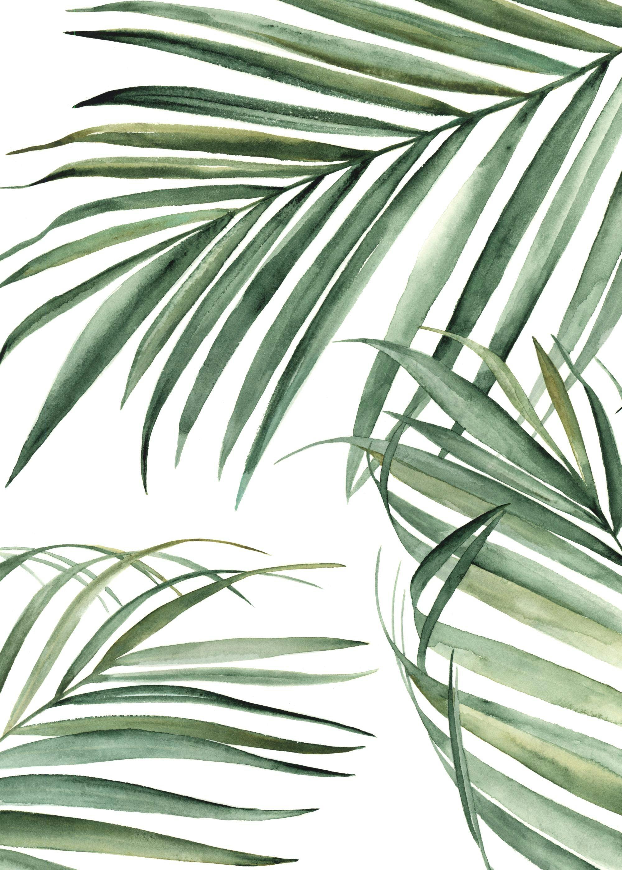 Affiche de feuilles de palmier vertes peintes à laquarelle sur fond blanc, style minimaliste