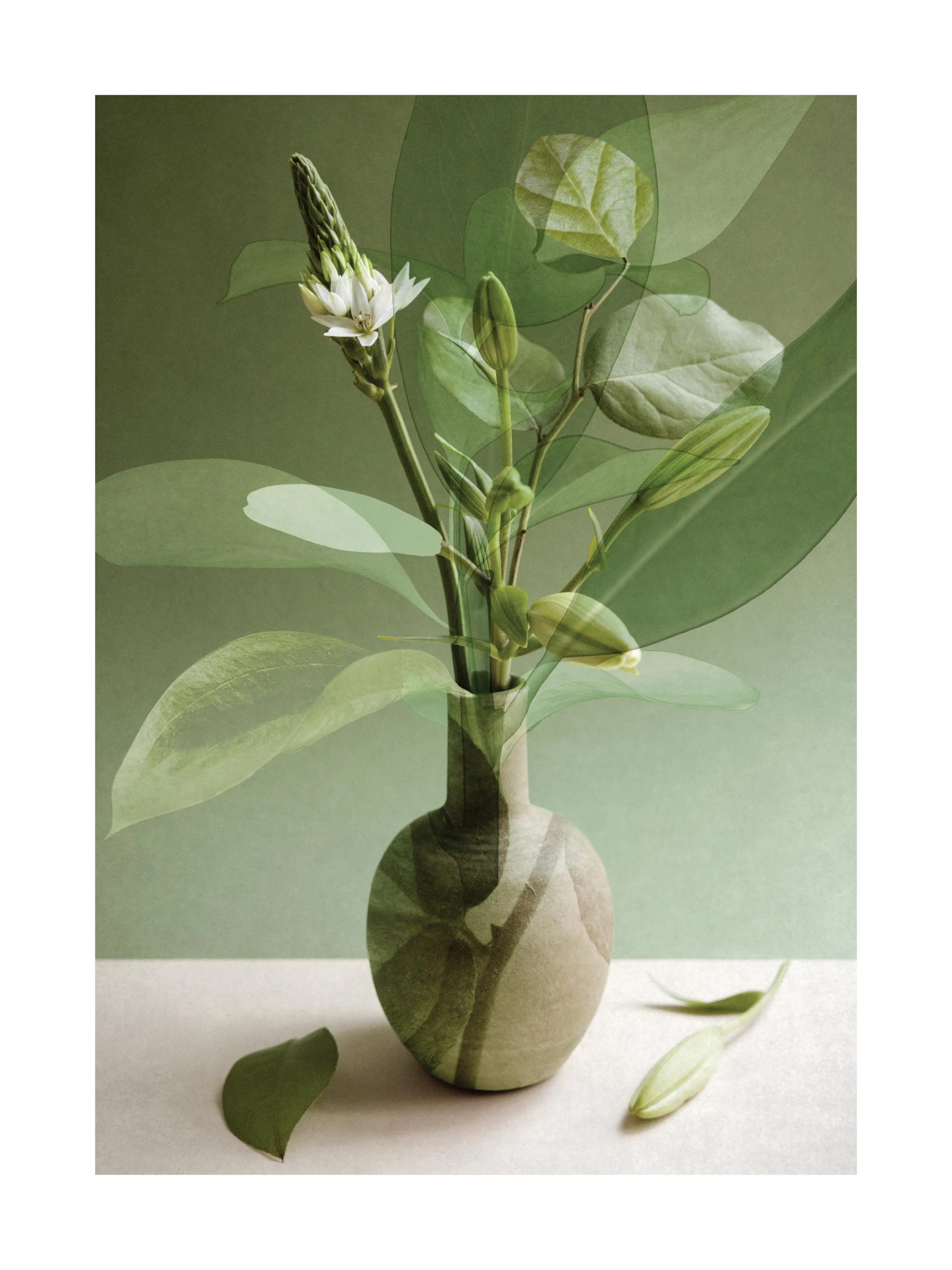 Grøn botanisk collage med vase, blade og hvide blomster. Naturinspireret kunst.