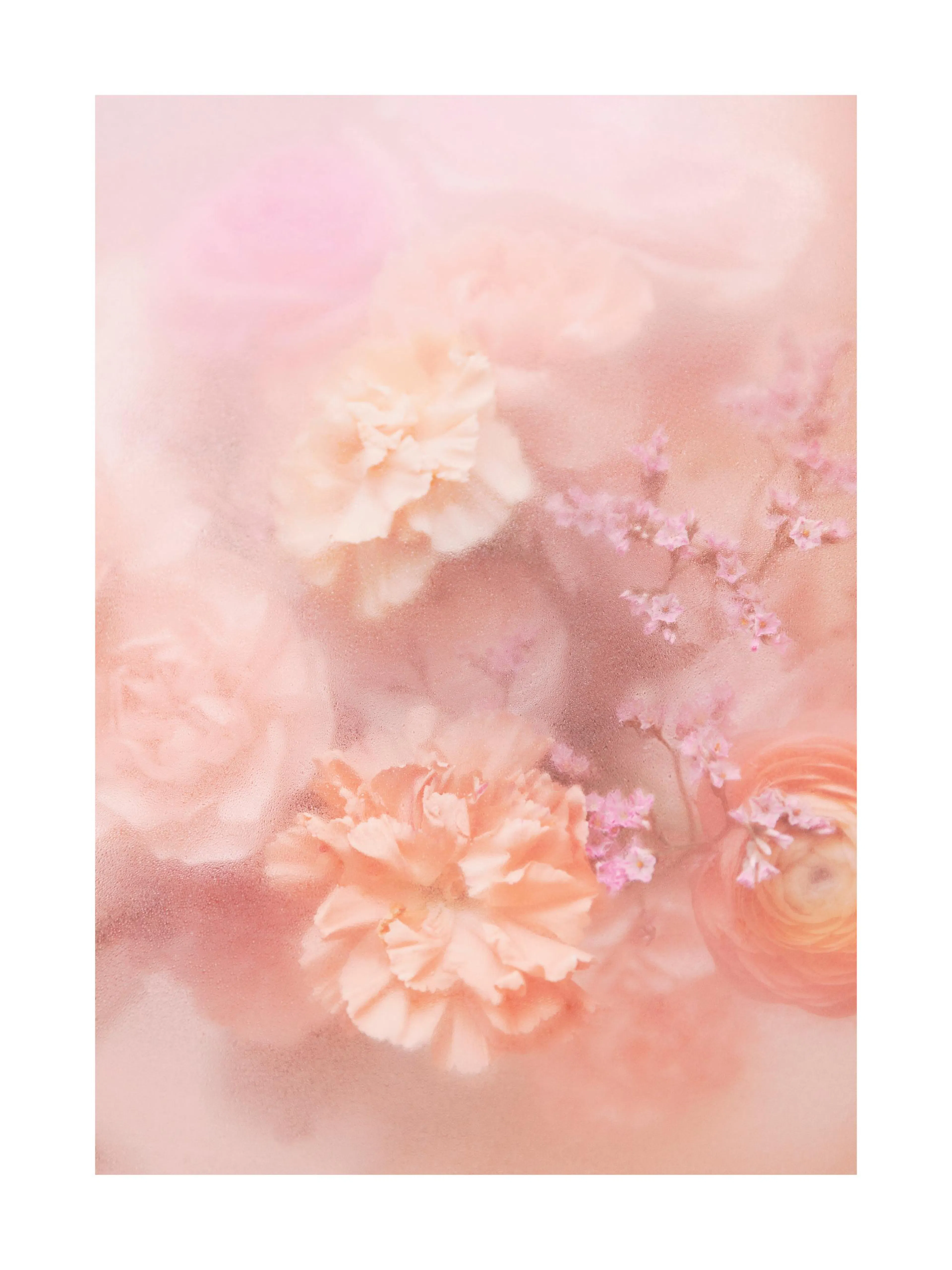 Soft Flowers Print poster featuring blurred peach and pink blossoms for a romantic aesthetic.