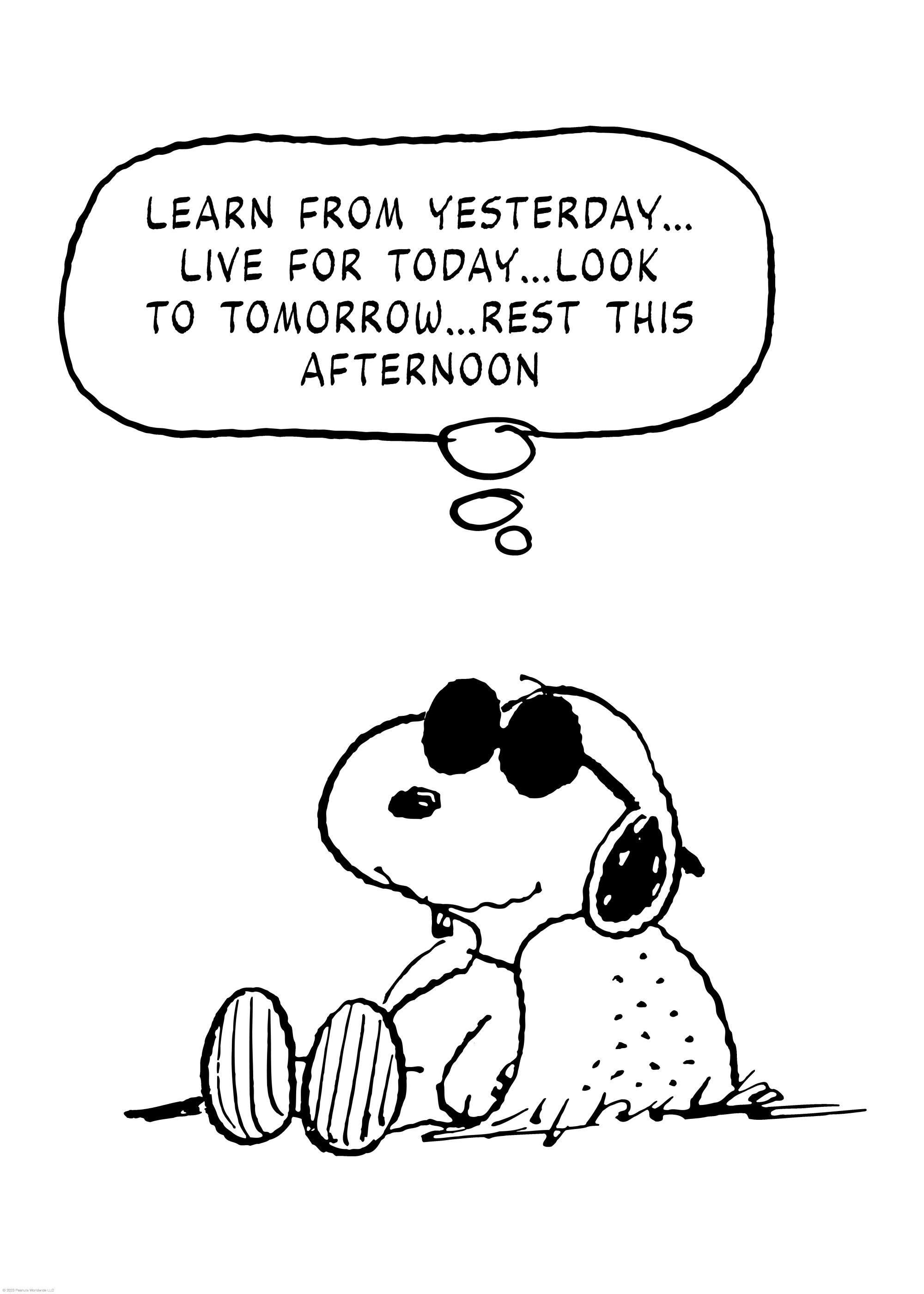 Affiche de Snoopy souriant avec des lunettes de soleil, pensant « Learn from yesterday... Live for today... Look to tomorrow...