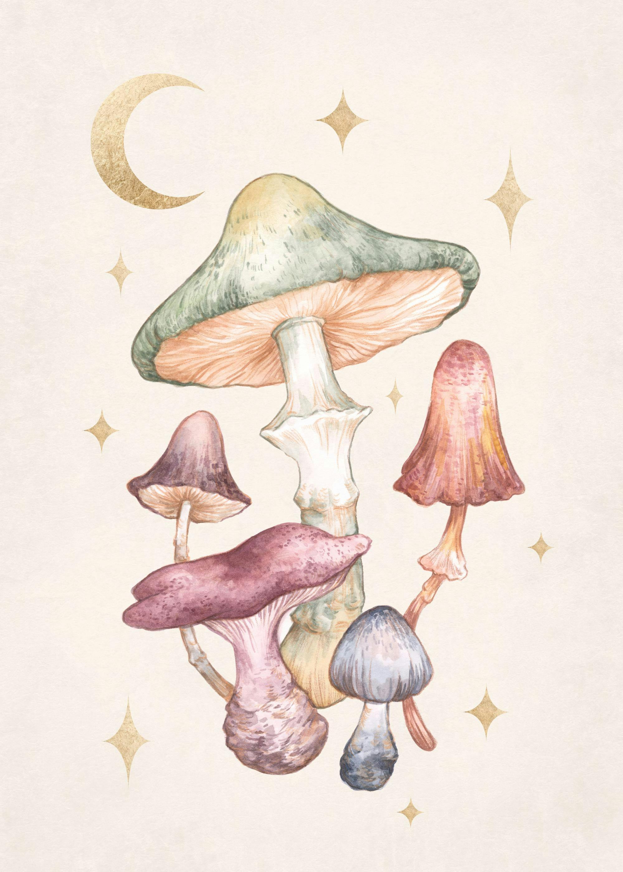 Affiche de champignons féeriques à laquarelle aux couleurs sobres avec lune et étoiles dorées