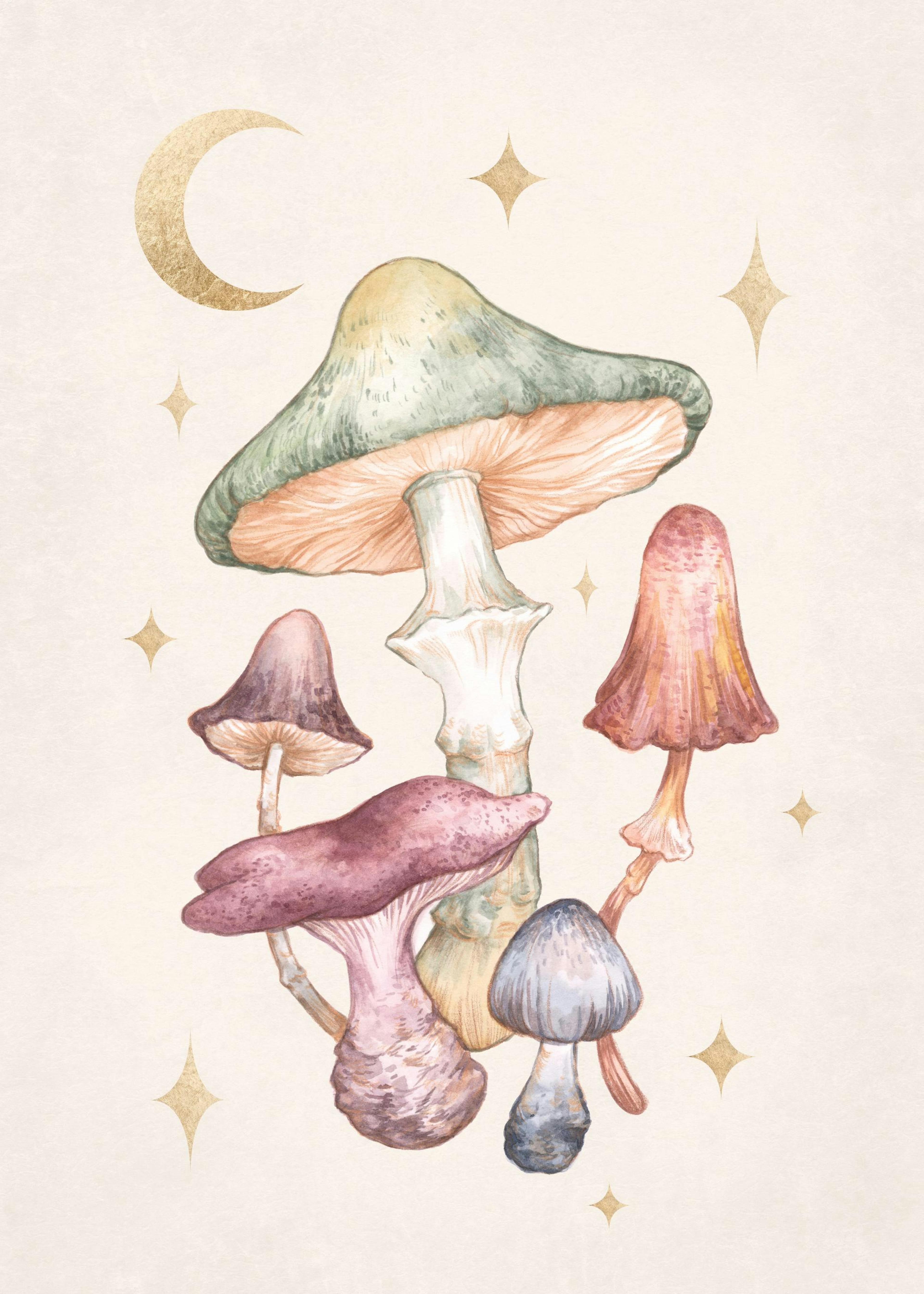 Affiche de champignons féeriques à laquarelle aux couleurs sobres avec lune et étoiles dorées