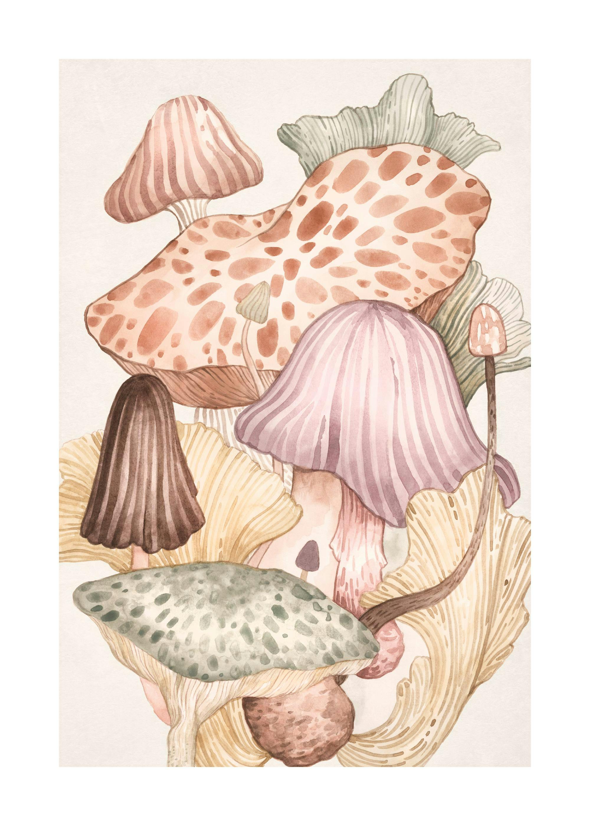 Affiche de champignons à laquarelle aux couleurs apaisantes, avec différentes formes et typographie douce.