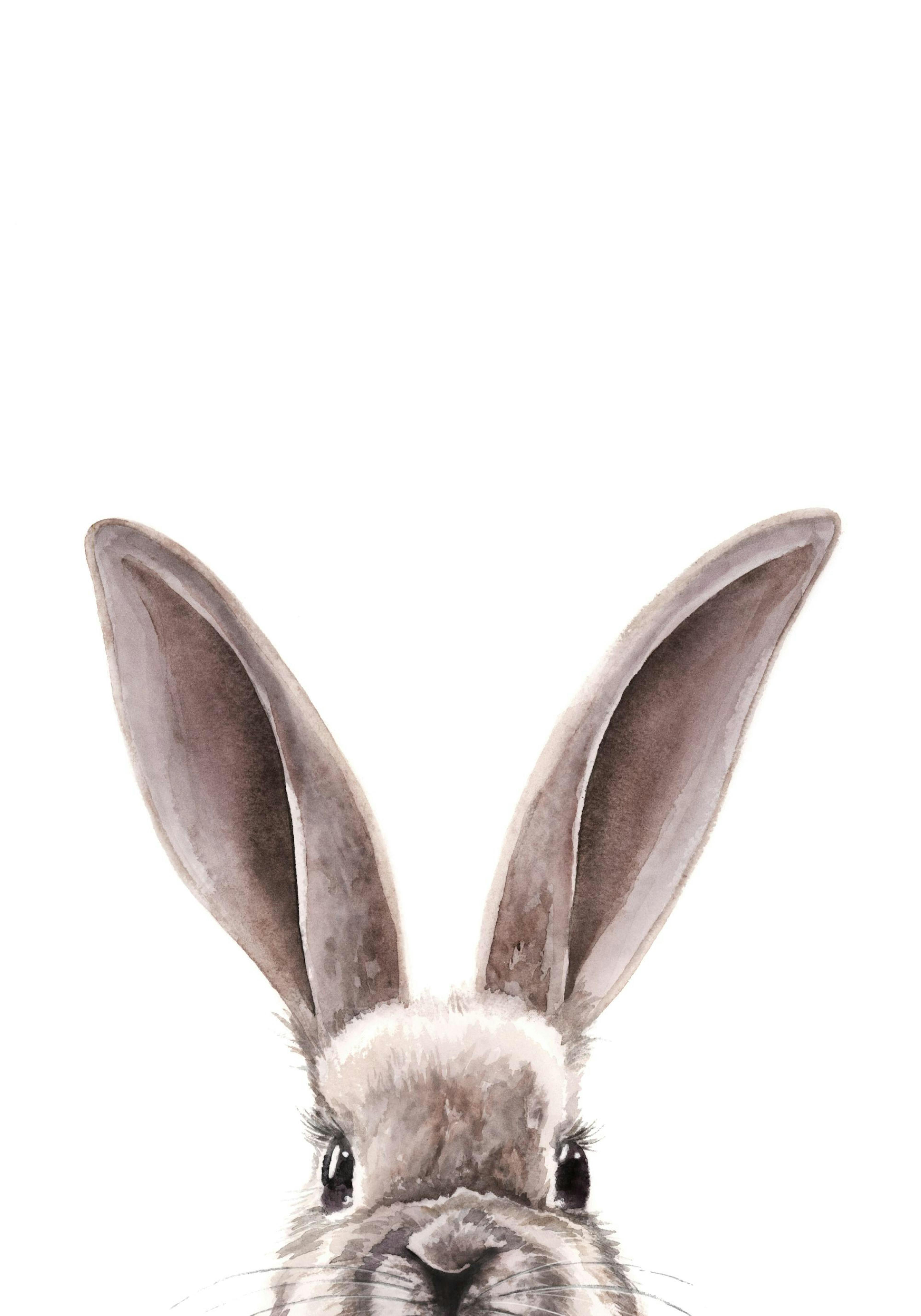 Plakat akwarelowy z puszystym, brązowym zajączkiem, widoczna tylko góra głowy i uszy, na białym tle.