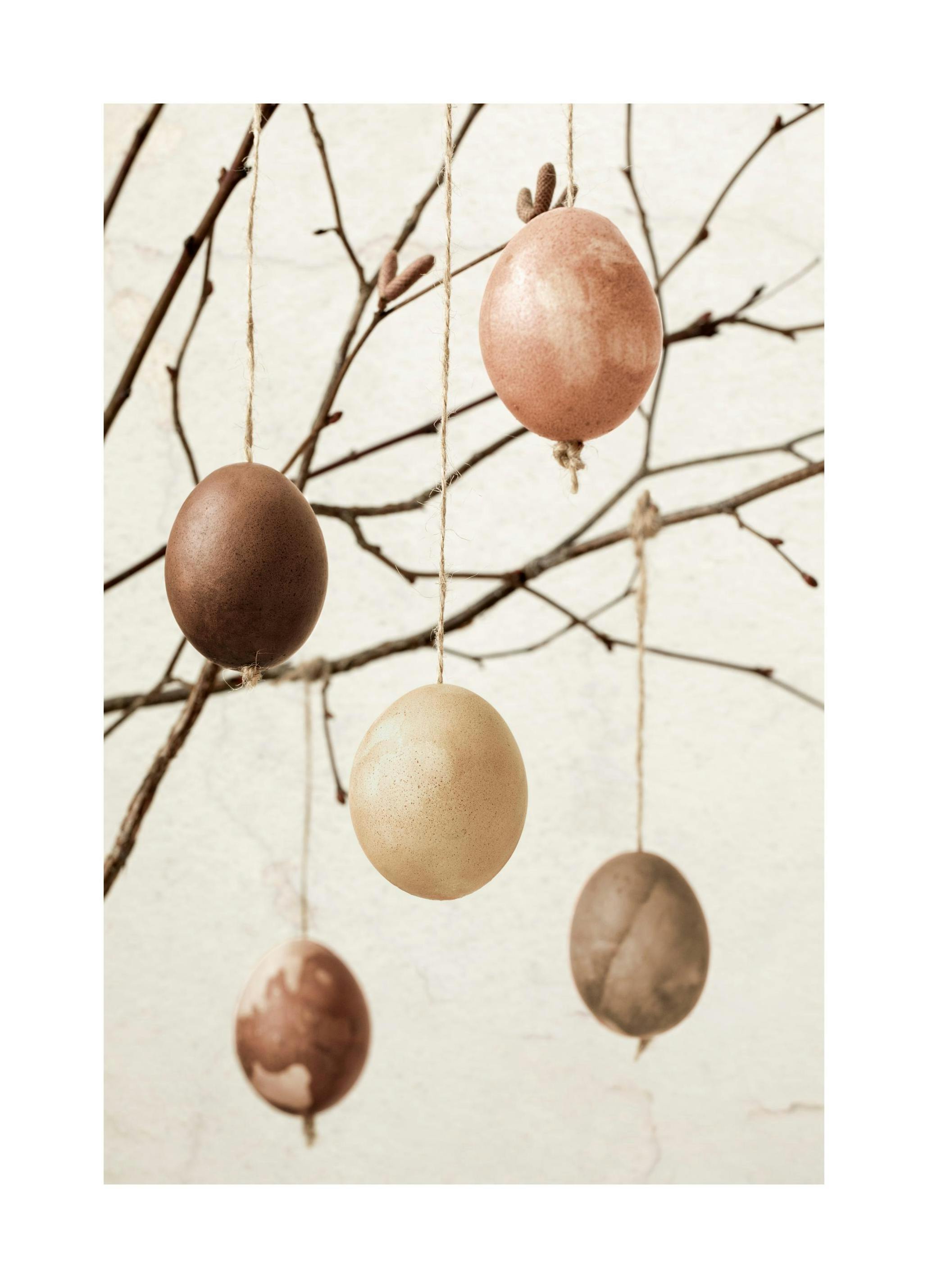 Egg Ornaments Affiche (30x40 cm)  Photographie