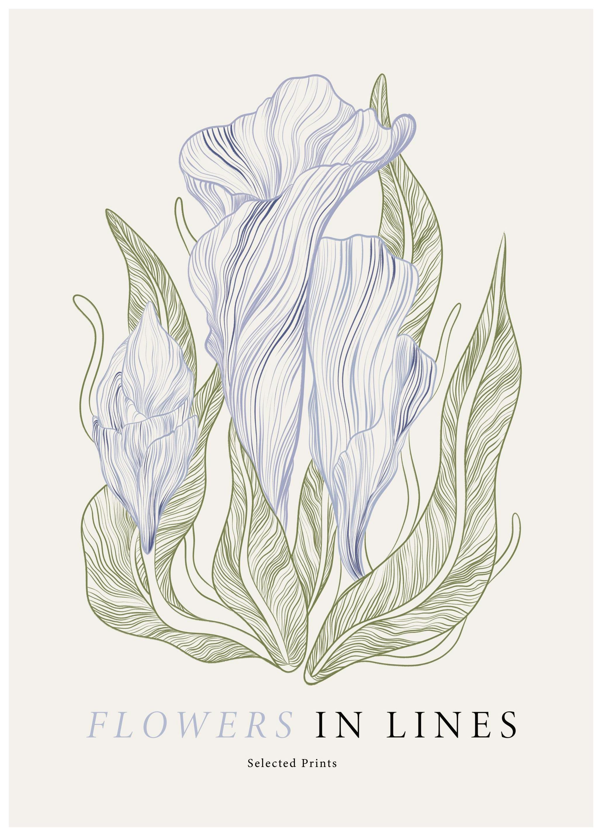 Flowers in Lines No1 Poster (30x40 cm)