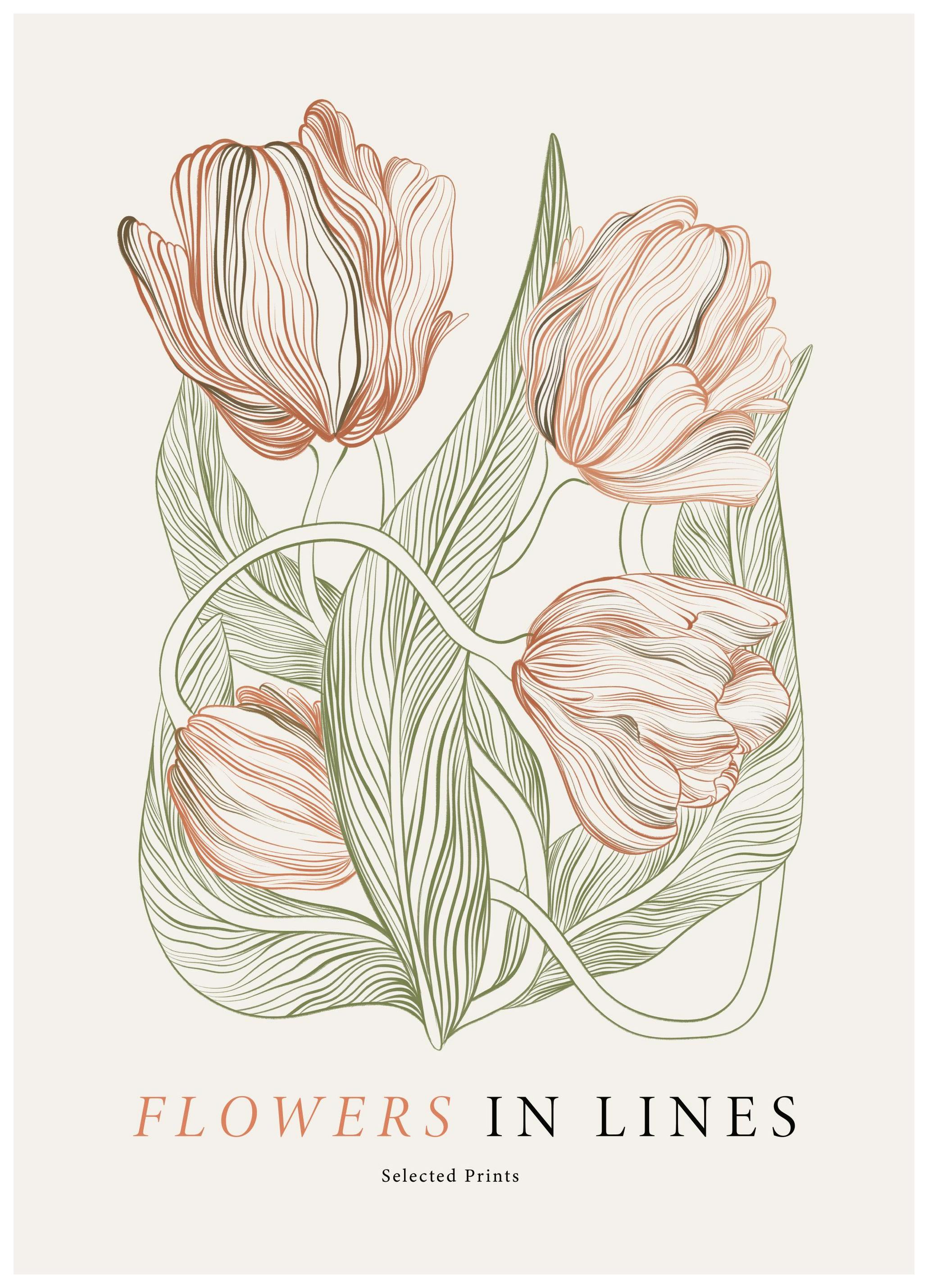 Flowers in Lines No2 Poster (30x40 cm)