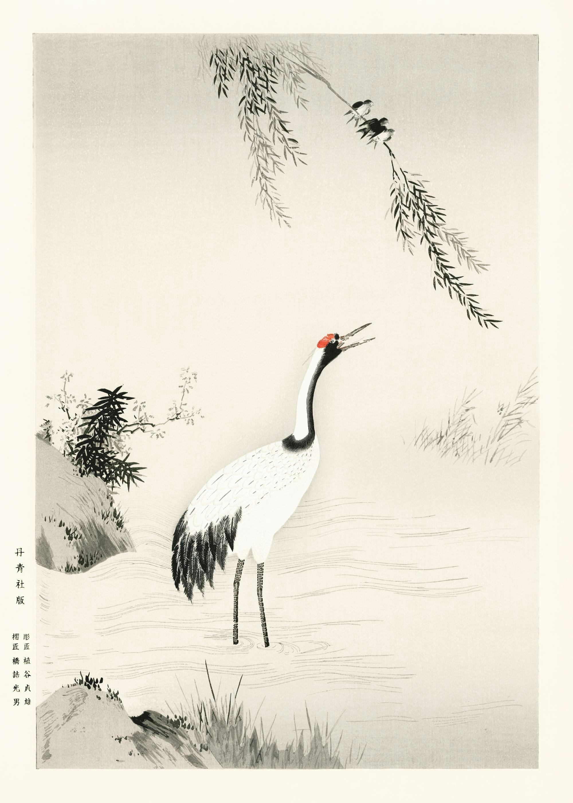 Affiche de Kano Motonobu, grue japonaise blanche dans leau avec typographie et nature en arrière-plan