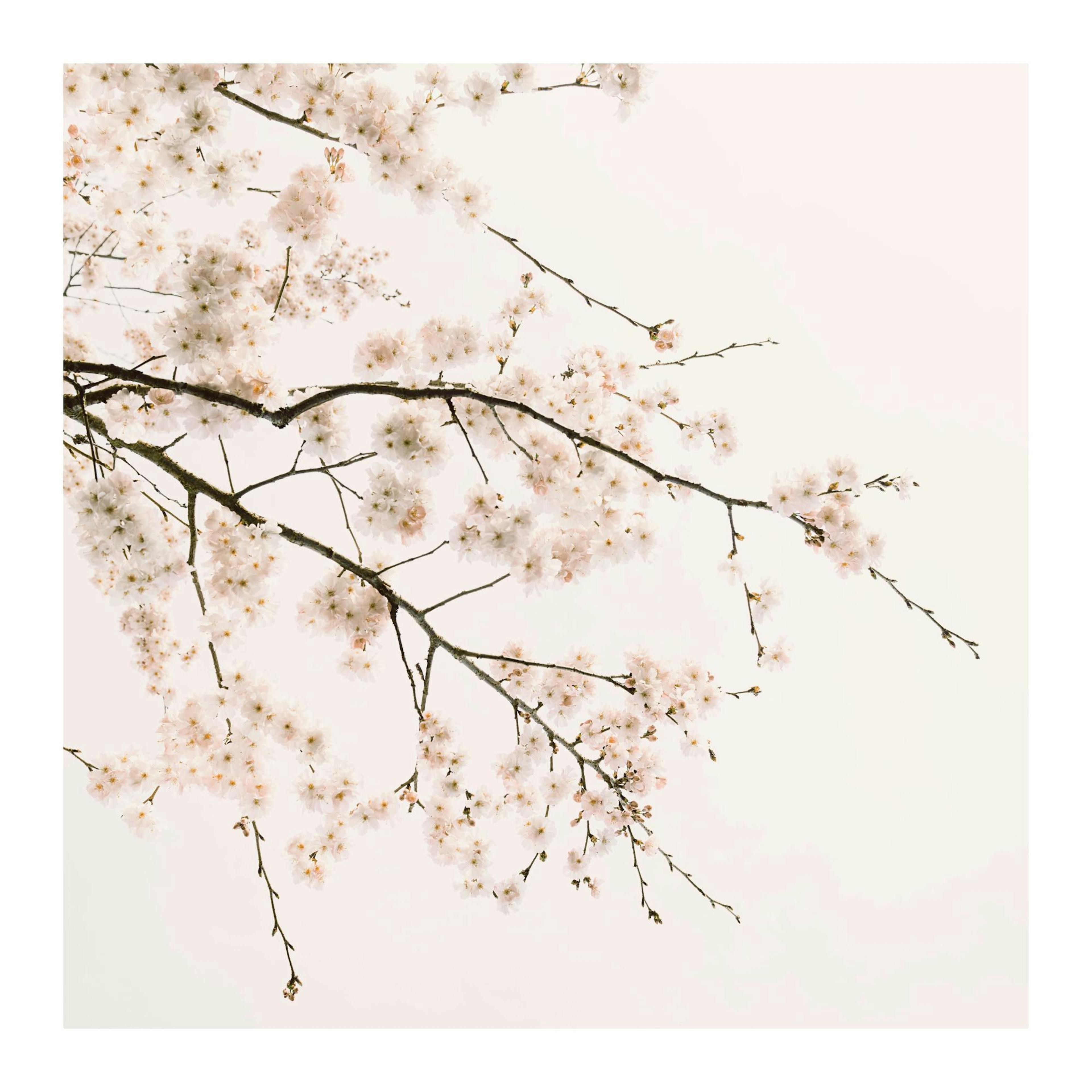 Product image: 1