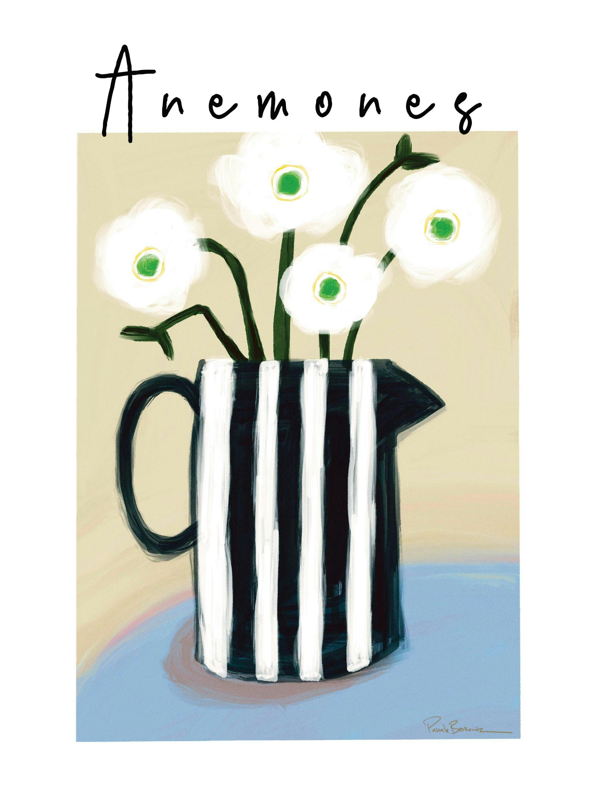 Pascale Berkowitz poster med vita anemoner i en svartvitrandig kanna, texten Anemones ovanför.