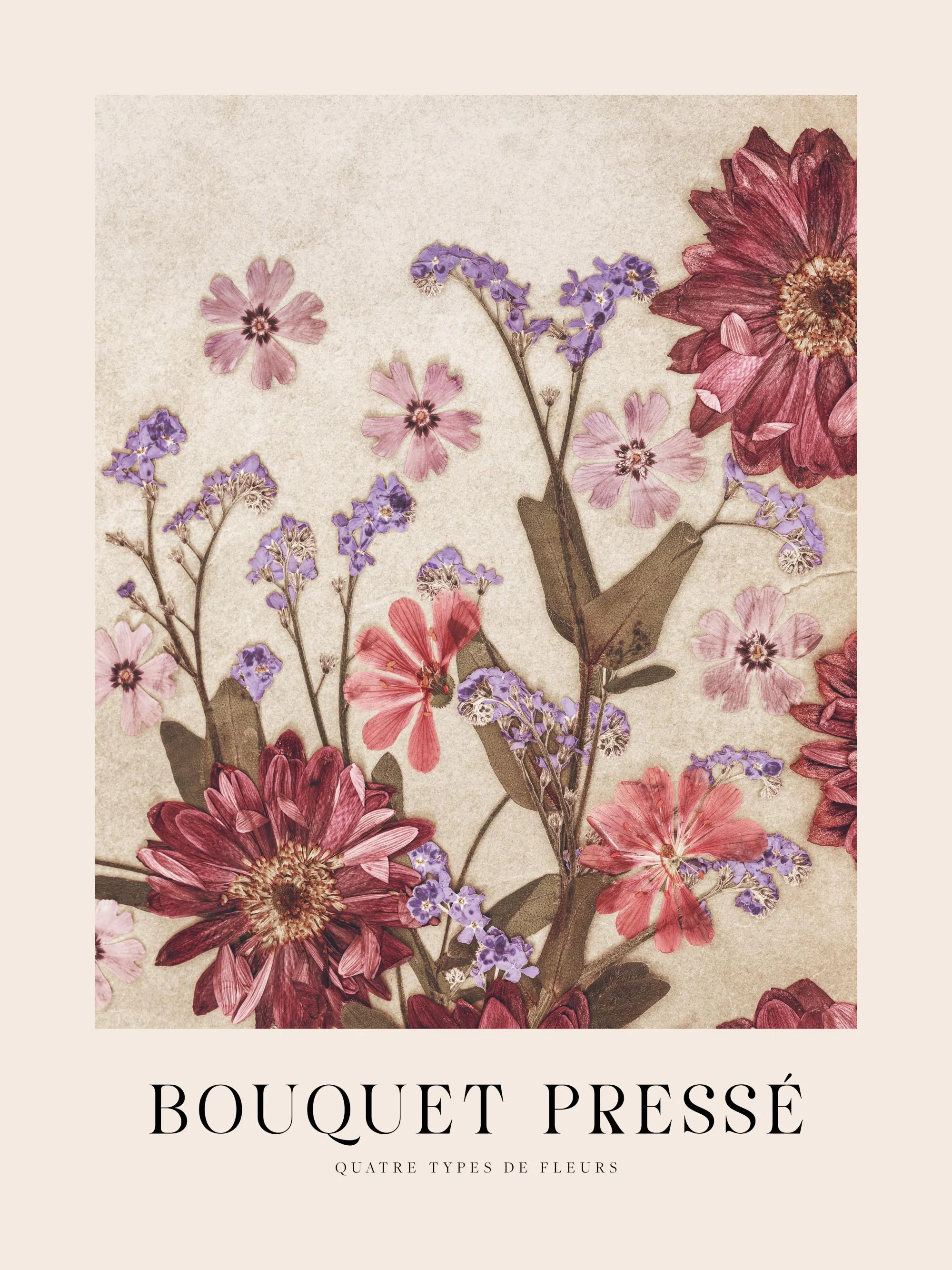 Vintage pressed flower print with detailed red, pink, and purple blooms on a textured tan background, part of the Bouquet Pressé