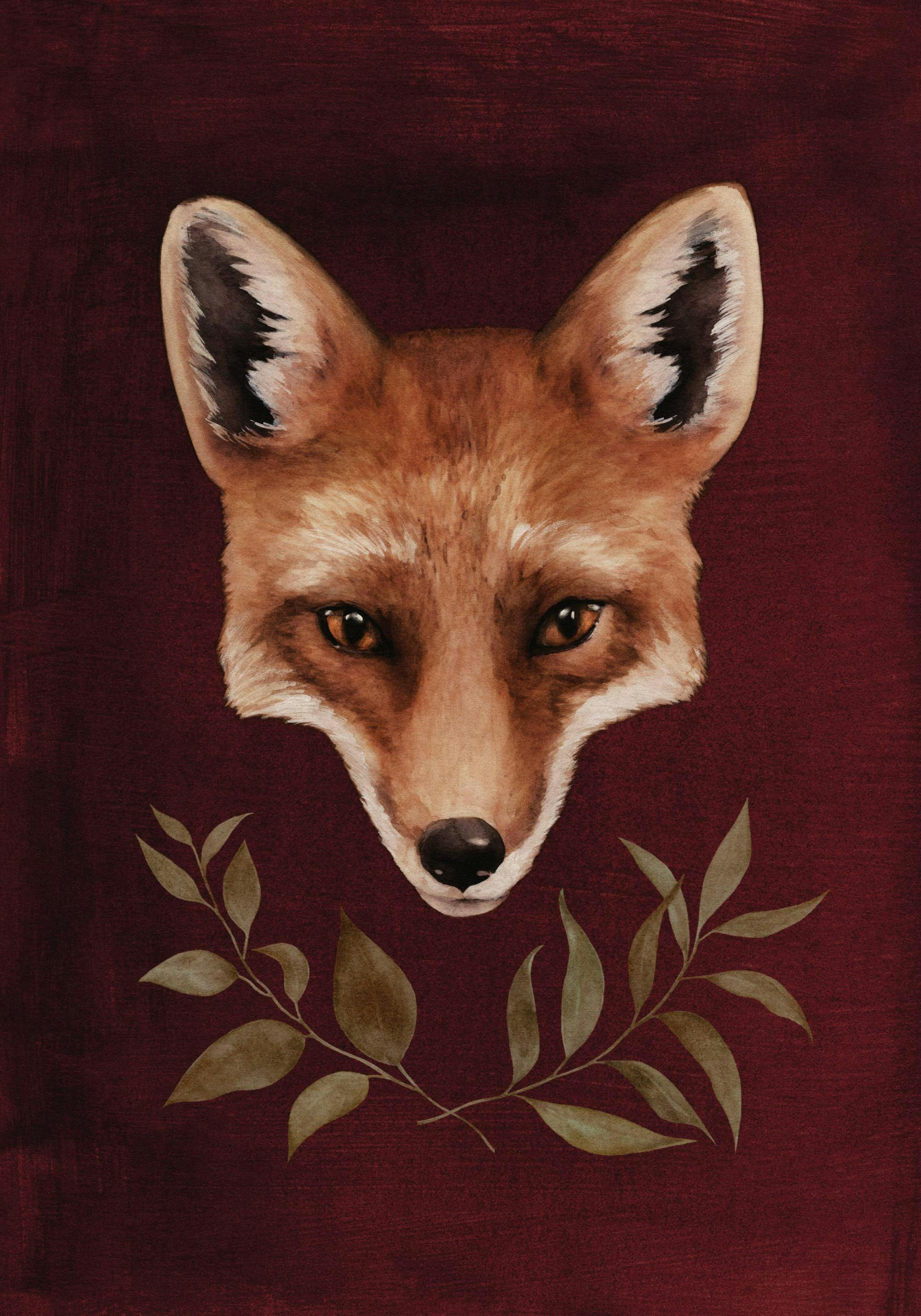 Red Fox Print - Main Image