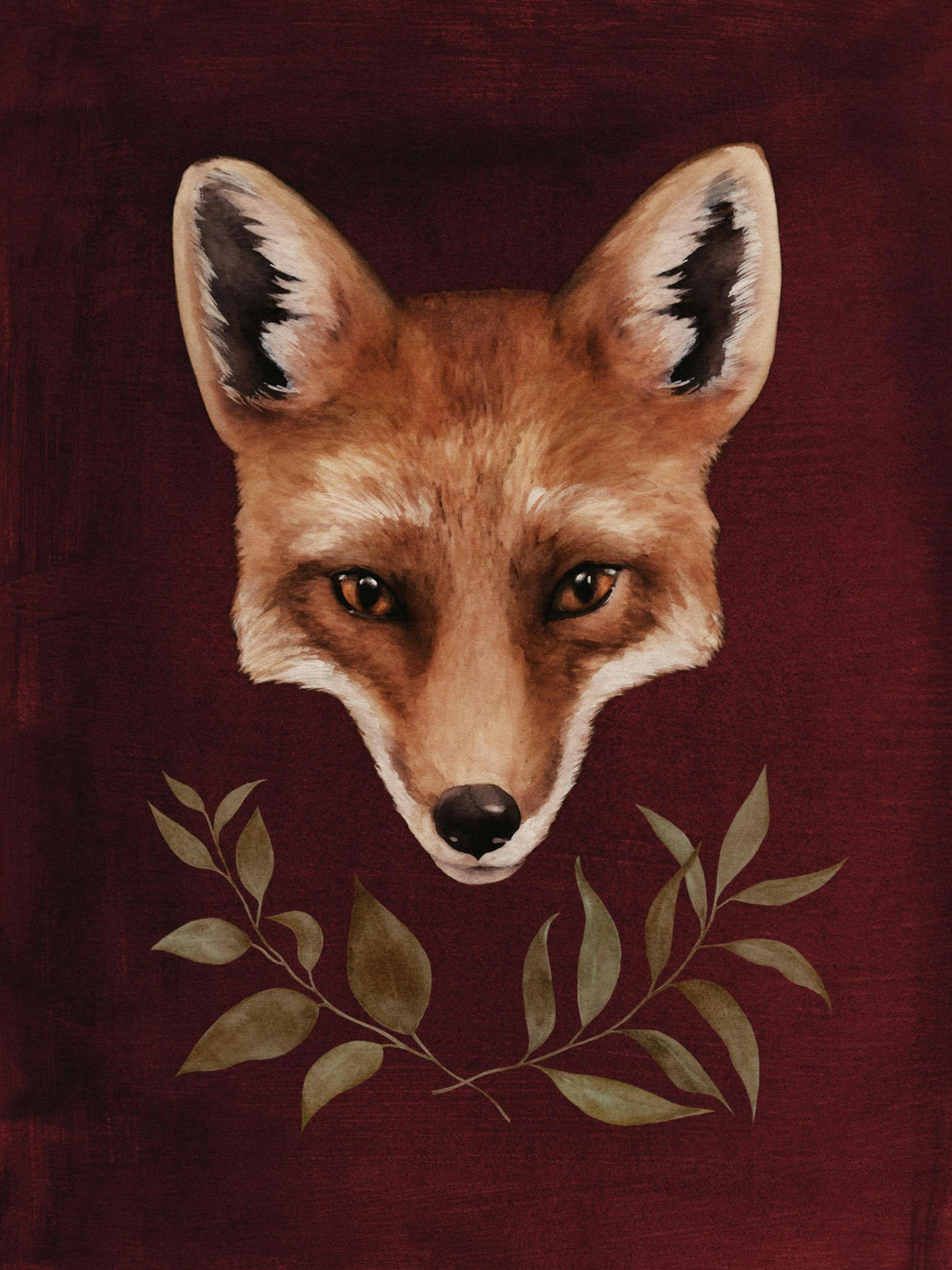 Red Fox Plakat 0