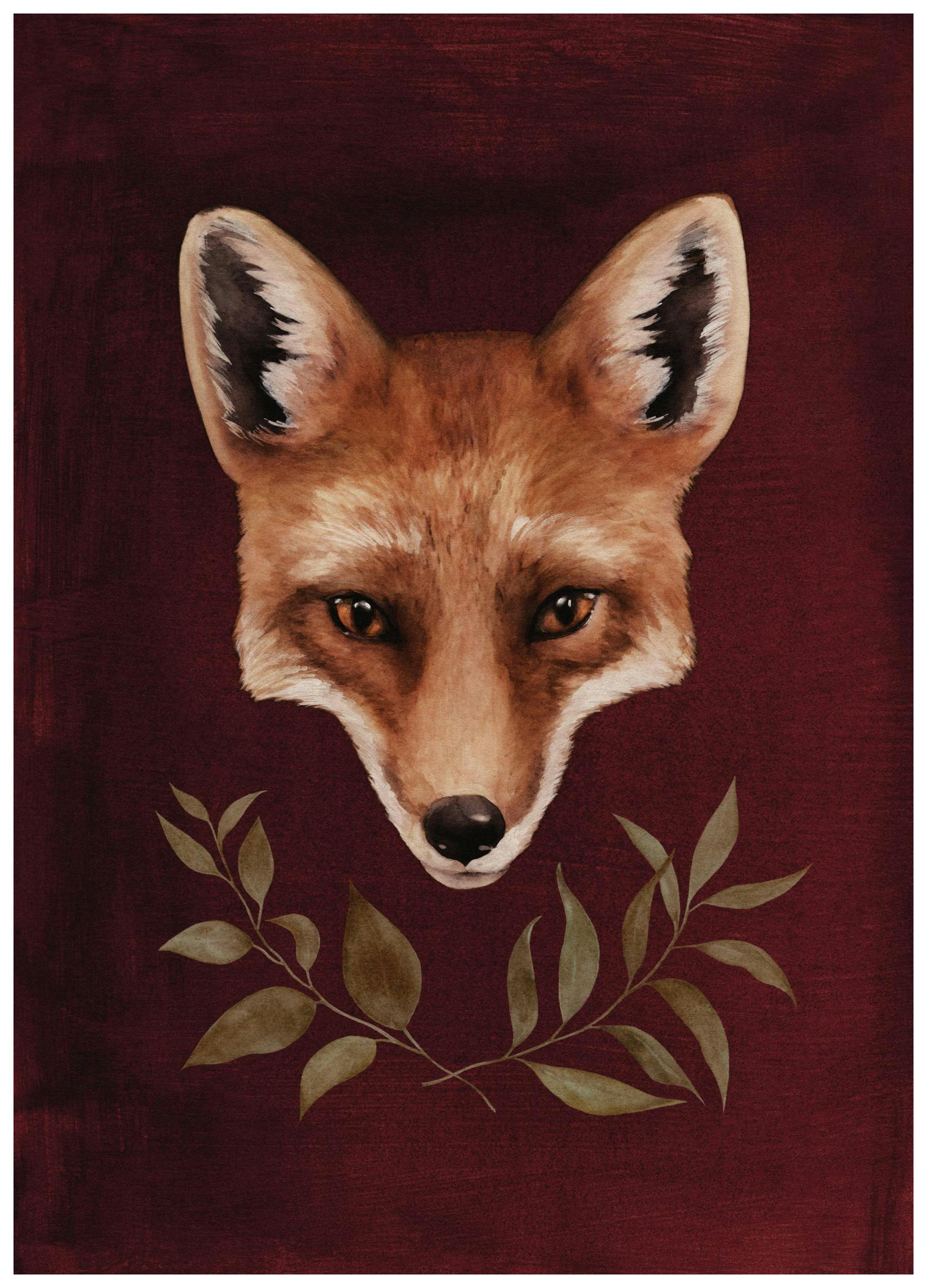Red Fox Poster (50x70 cm)