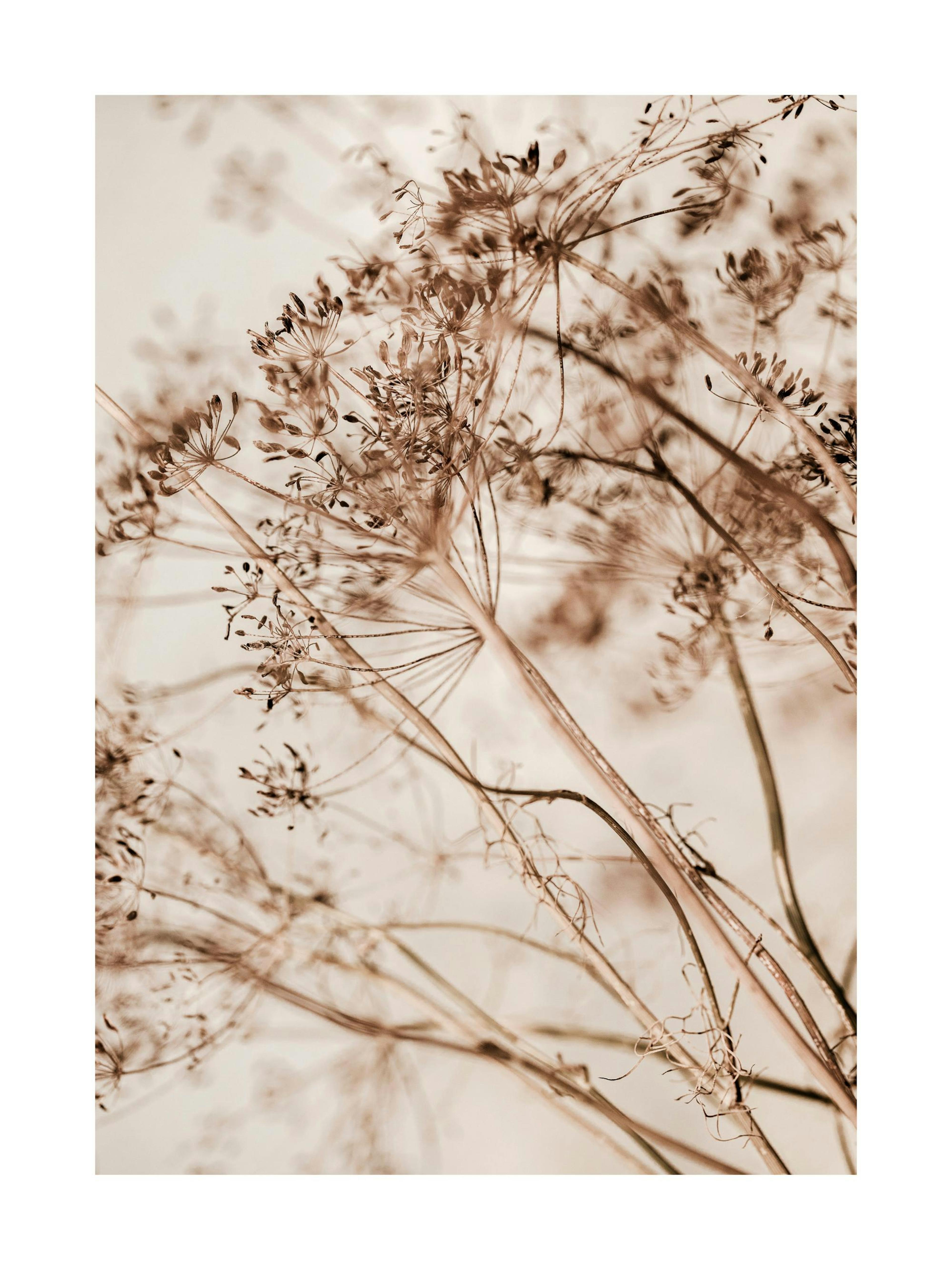 Product image: 1