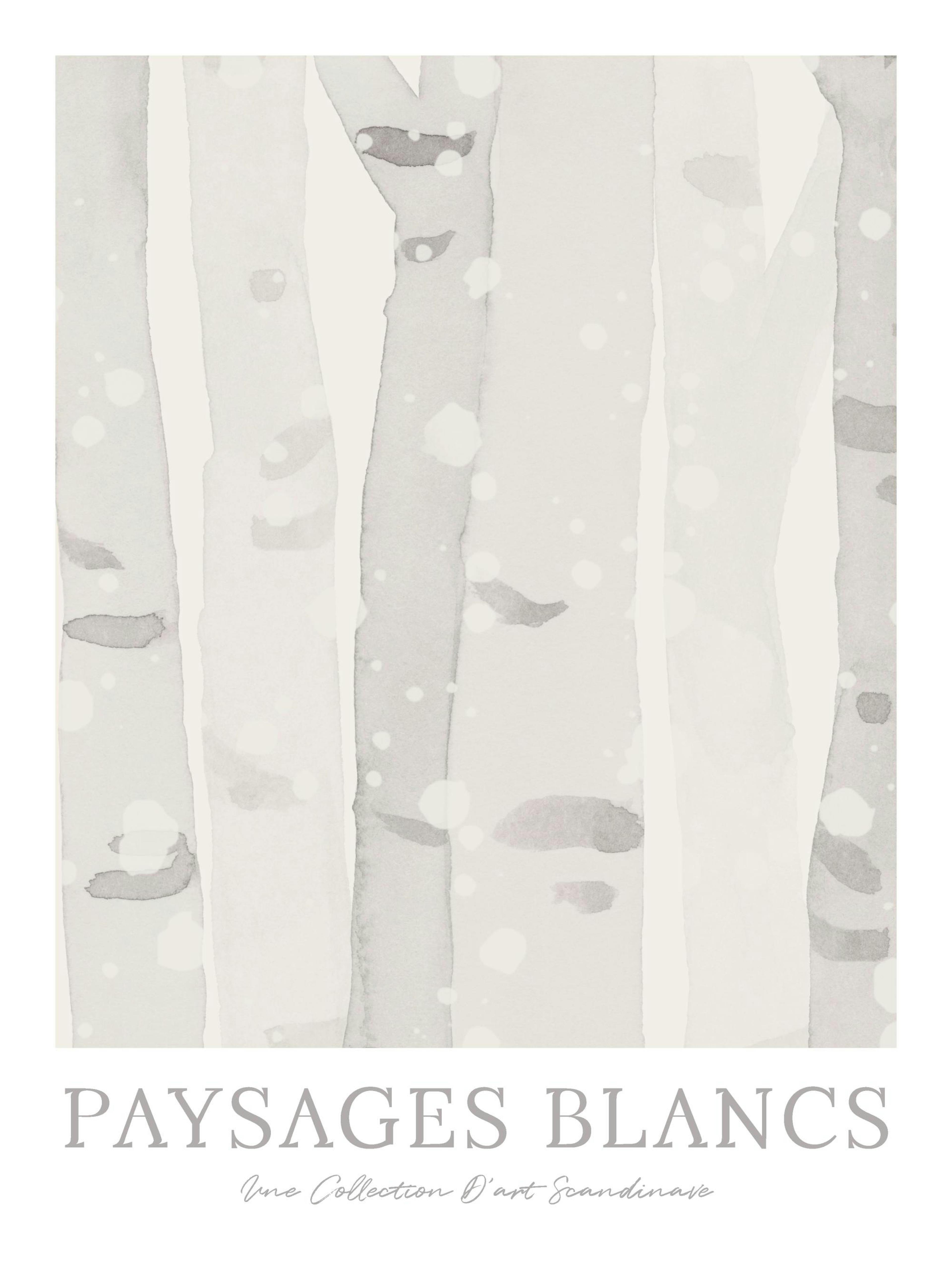 Poster Birkenwald, graue und beige Stämme, weiße Schneeflocken, Text PAISAGES BLANCS
