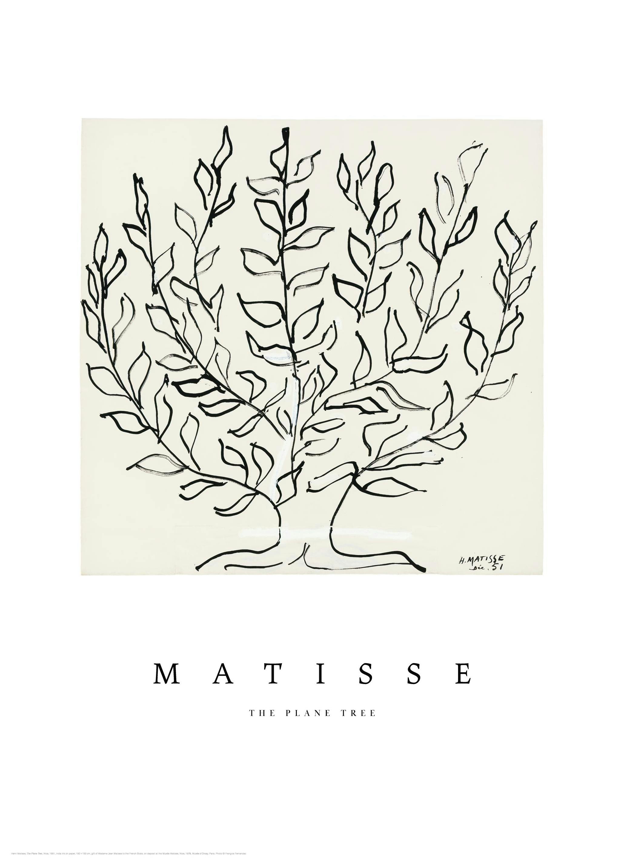Matisse - The Plane Tree Poster (30x40 cm)