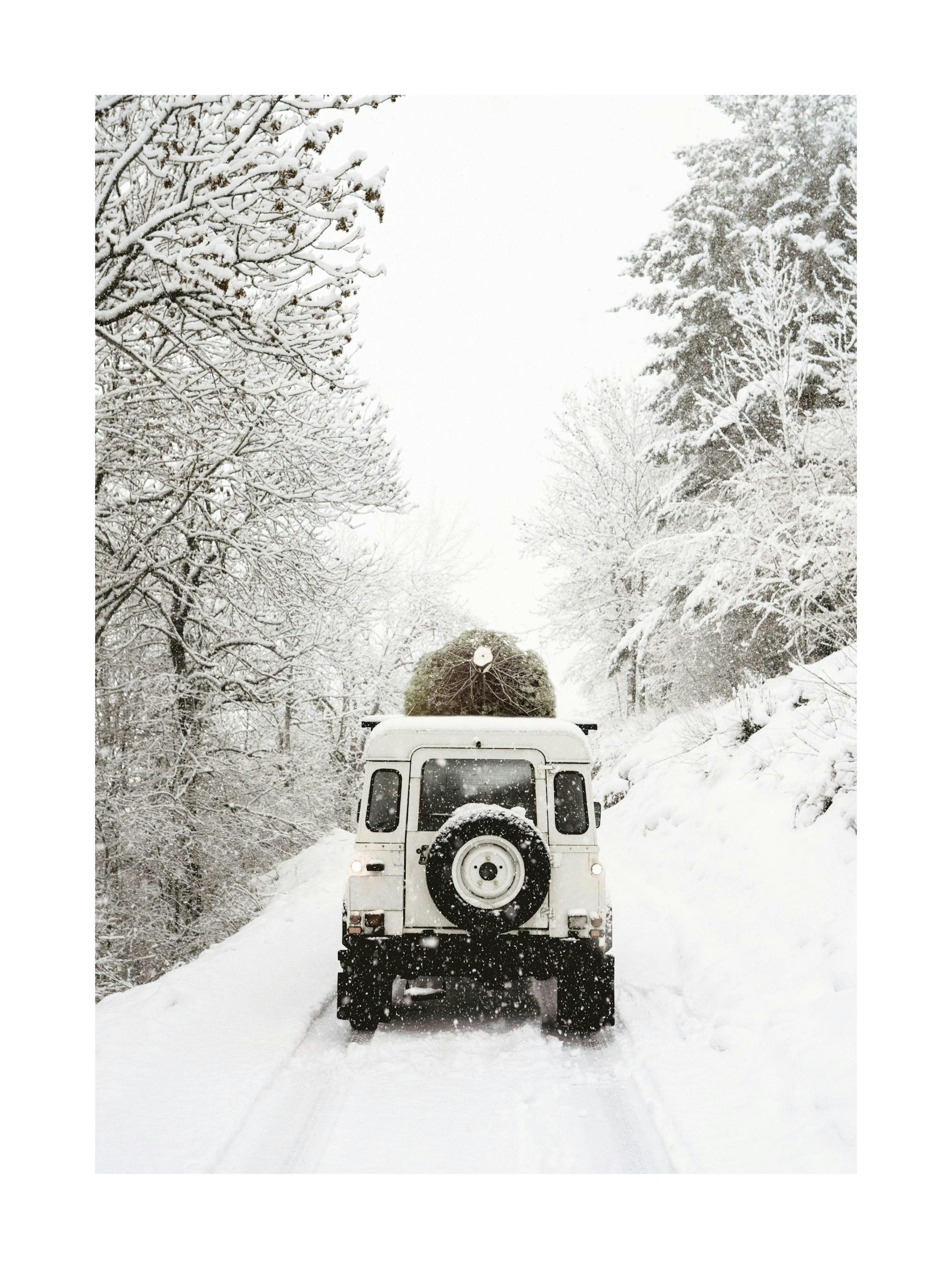 Póster fotográfico, coche blanco con árbol de Navidad en el techo, paisaje invernal cubierto de nieve.