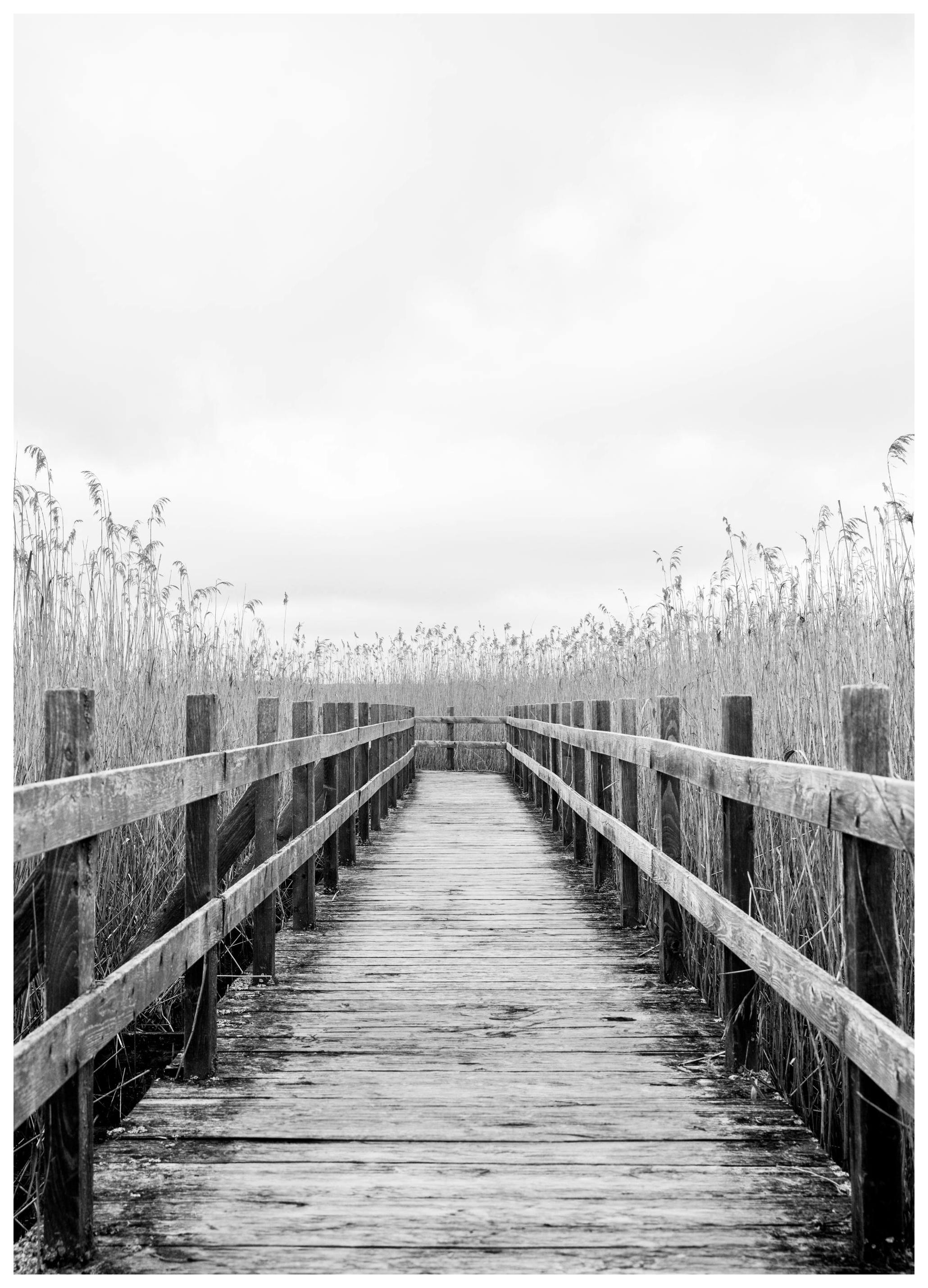 Monochrome Path Plakat (50x70 cm)- Czarno-białe zdjęcia