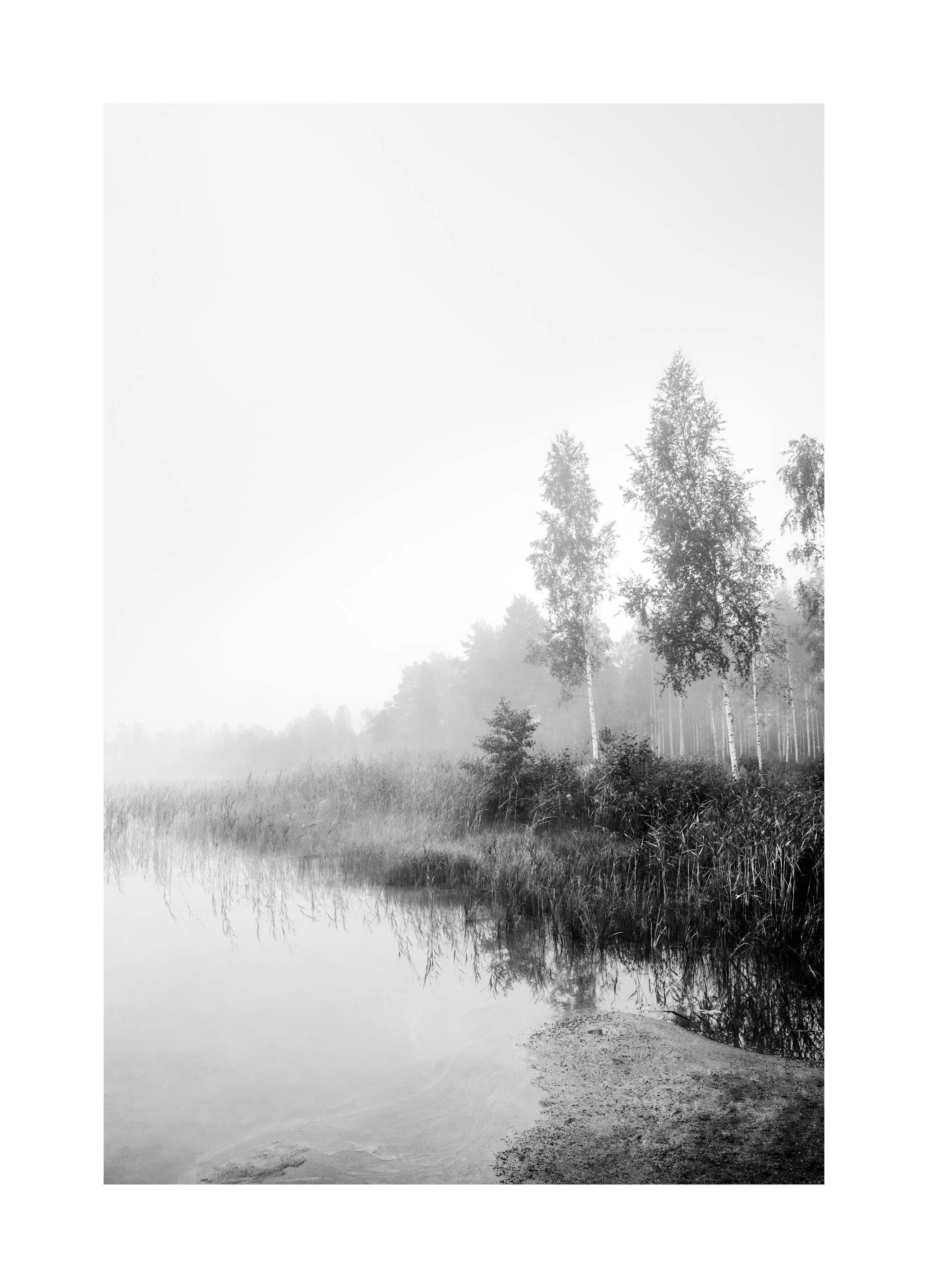 Monochrome Mist Plakat (50x70 cm)- Czarno-białe zdjęcia
