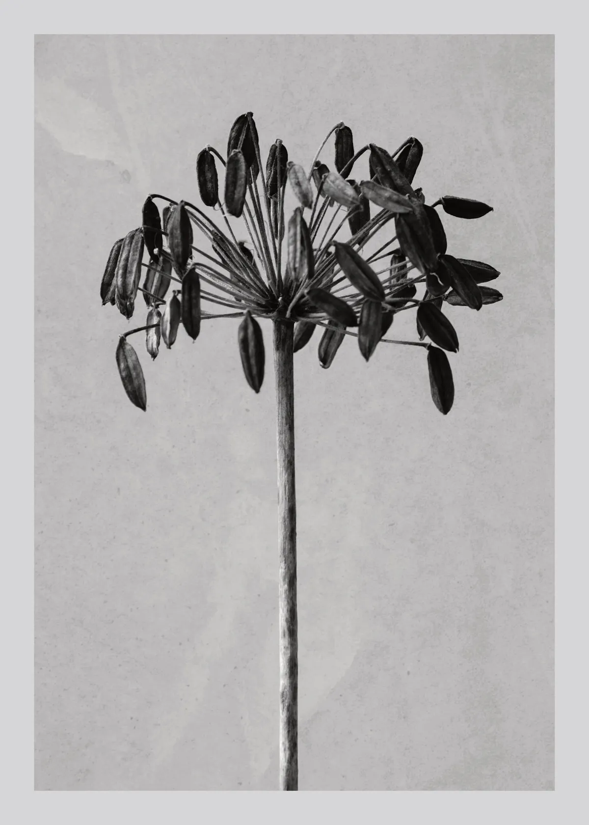 Art Deco Pattern No1 Print Stylish Poster Design Desenio