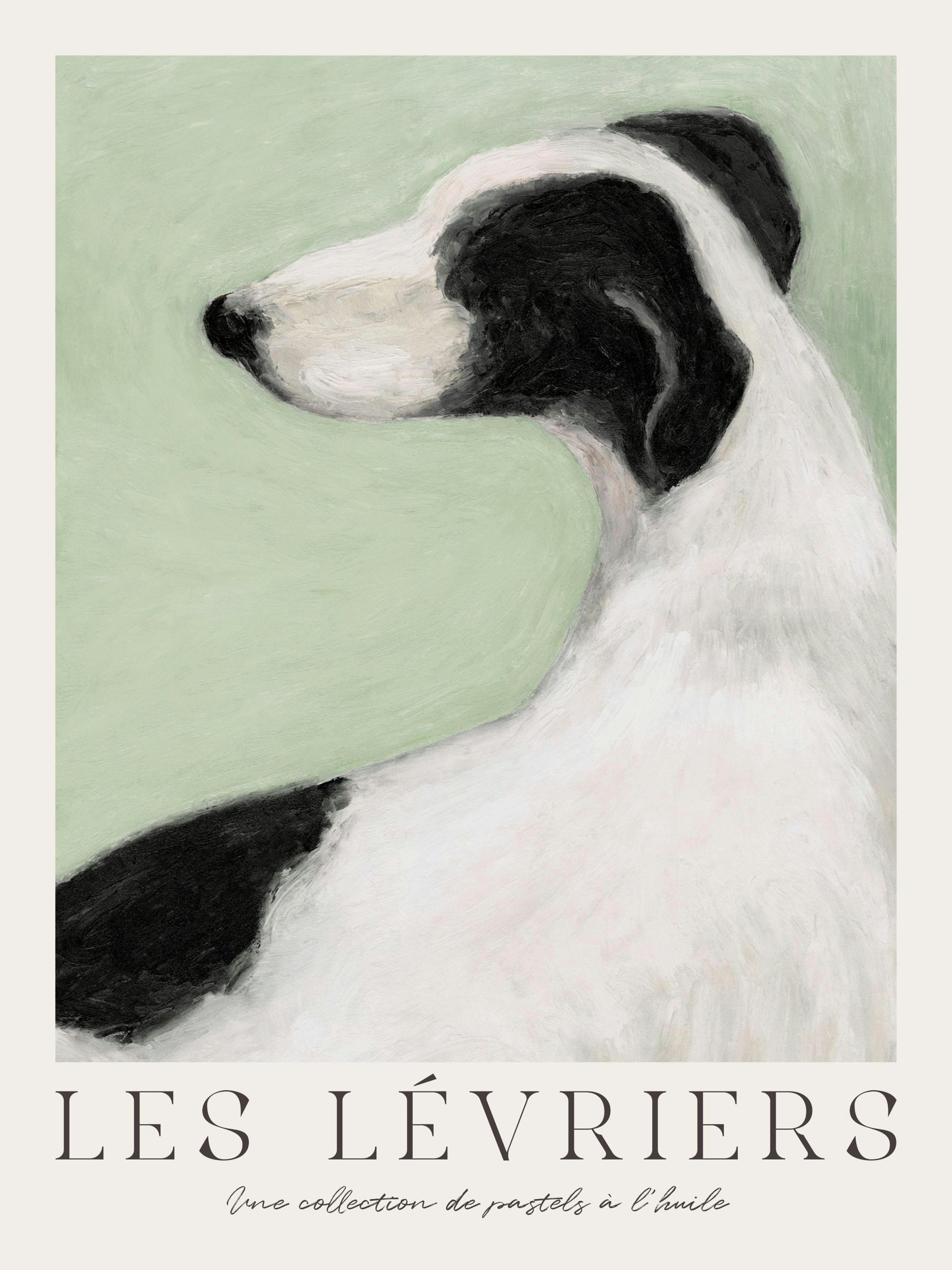 Hand-painted oil pastel print of a black and white greyhound against a soothing light green background. Elegant dog art poster.