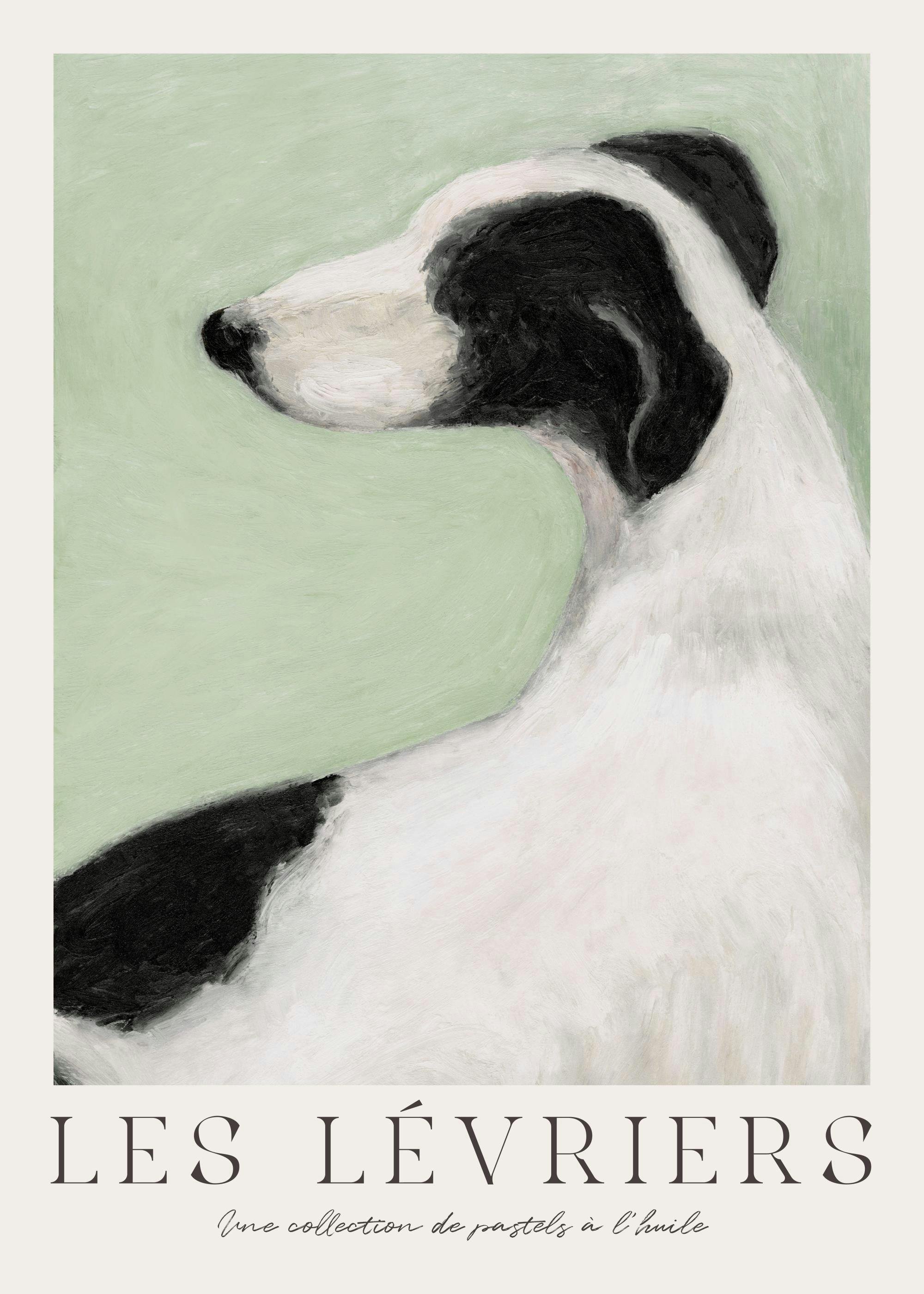 Hand-painted oil pastel print of a black and white greyhound against a soothing light green background. Elegant dog art poster.
