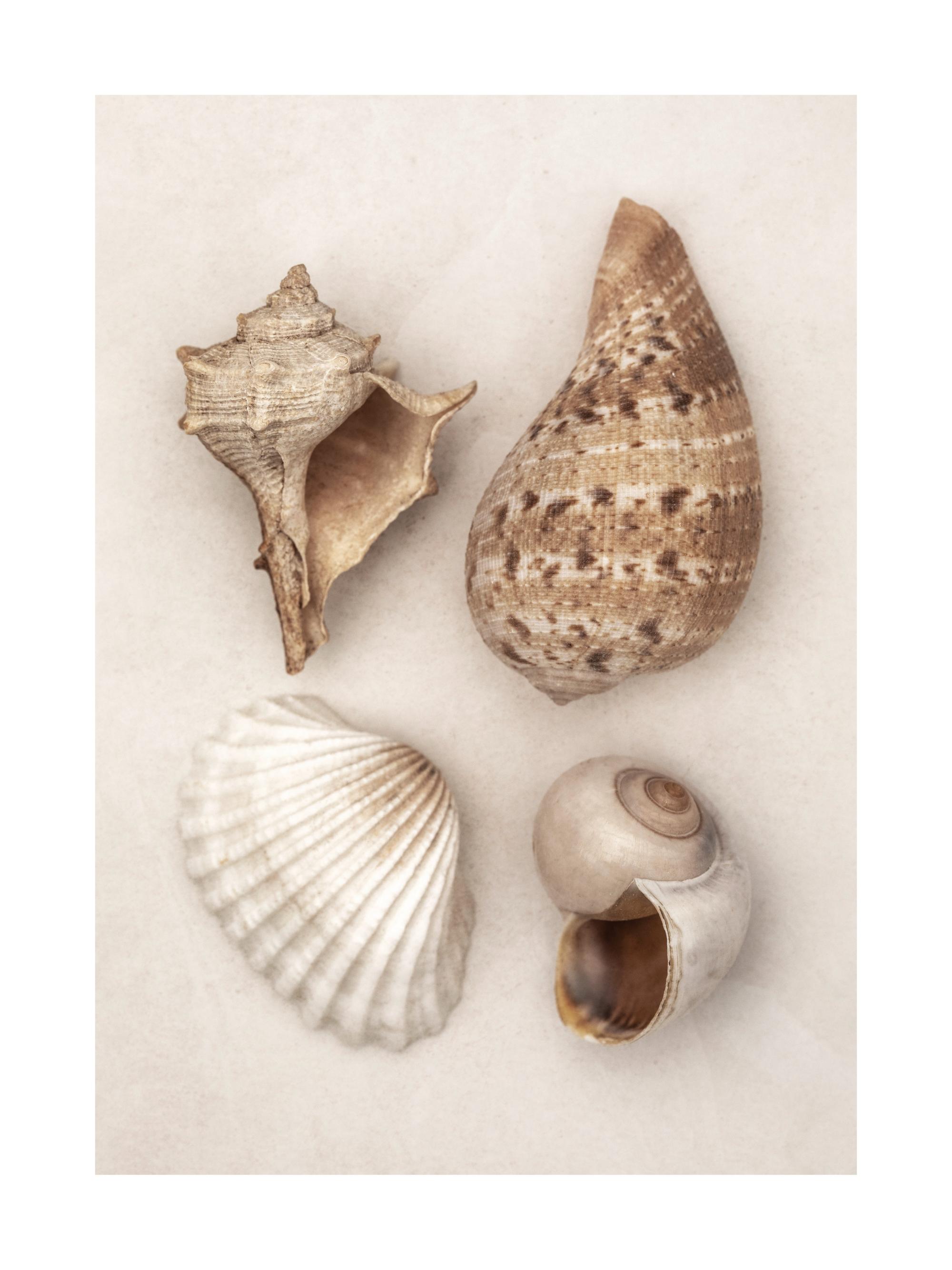 685d8b7b67fd6077b6f2e58e_14973