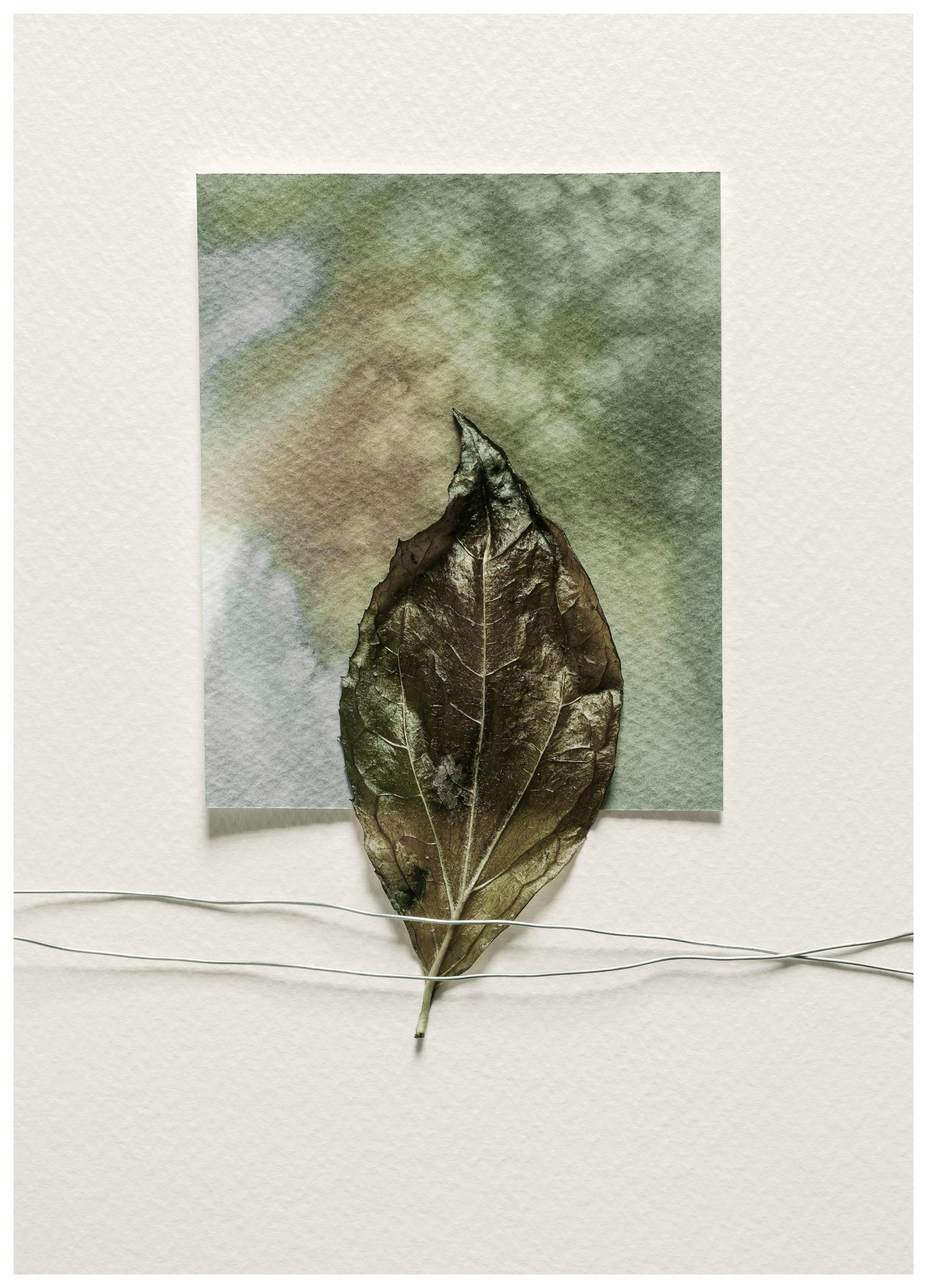 Prints - Art of Leaf Print (30x40 cm) - Art prints