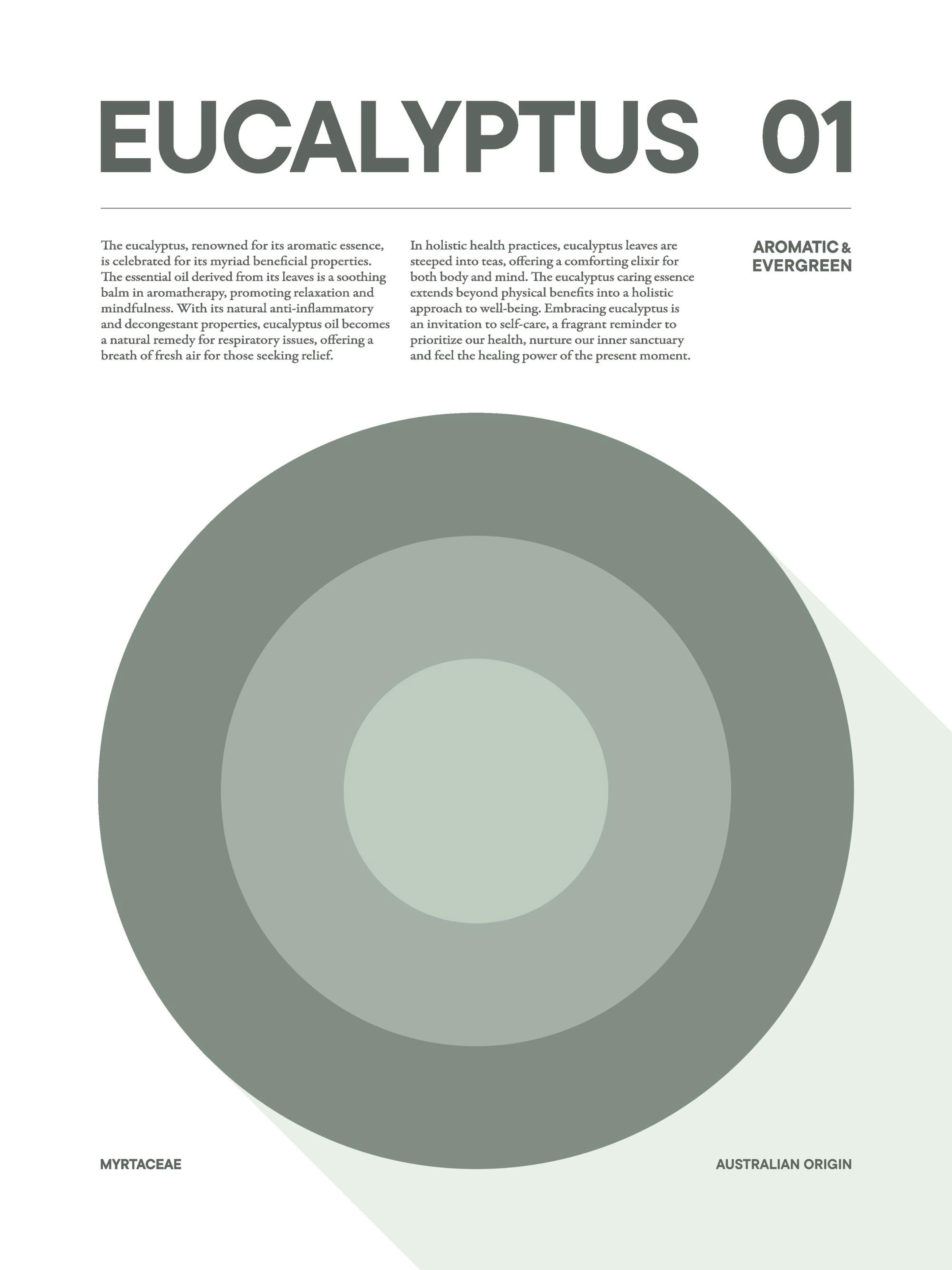 Affiche eucalyptus artistique avec texte informatif et trois cercles concentriques verts.