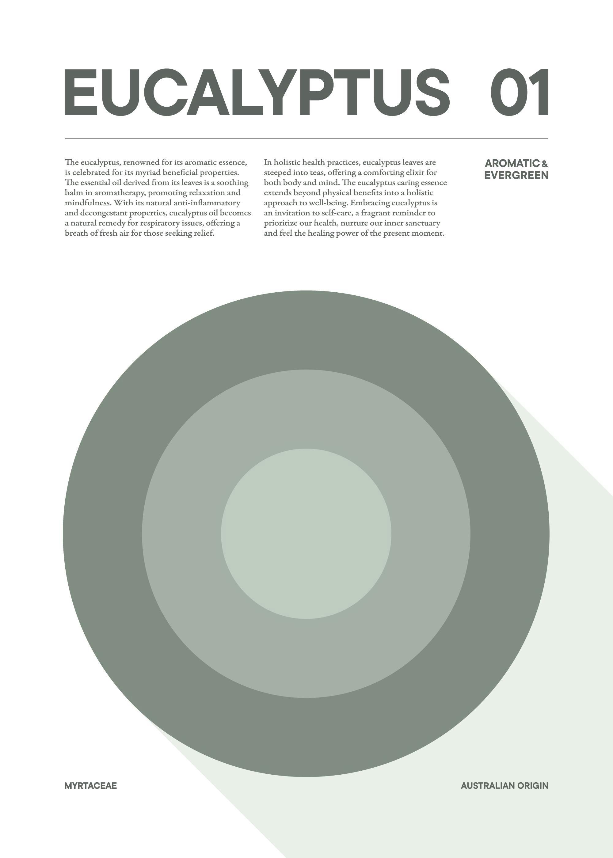Grafisches Eukalyptus Poster, minimalistisch mit konzentrischen Kreisen in Grün- und Grautönen, Pflanzenmotiv