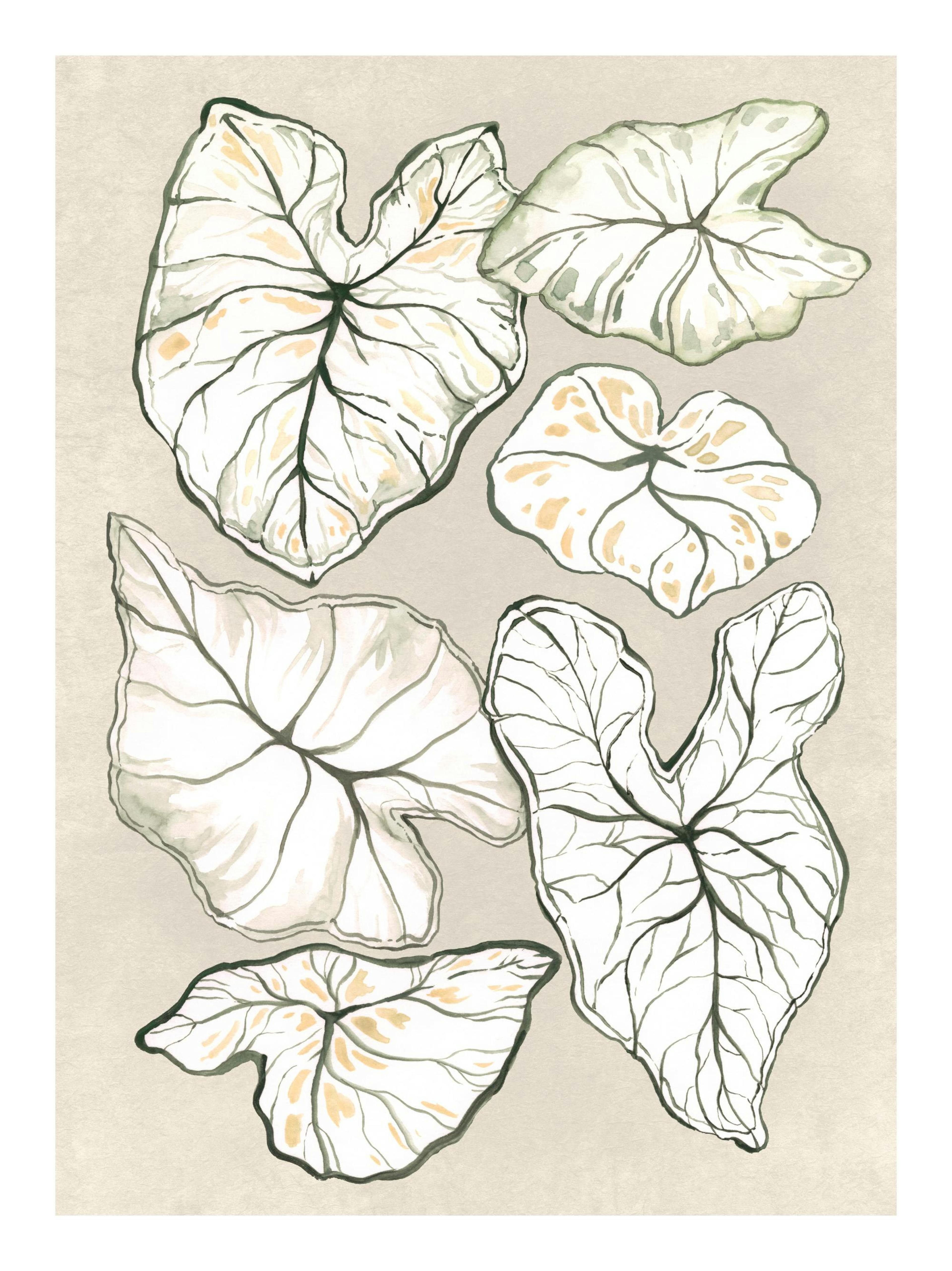 Hand-painted botanical print of various caladium leaves in shades of white, pale green, and yellow on a beige background.