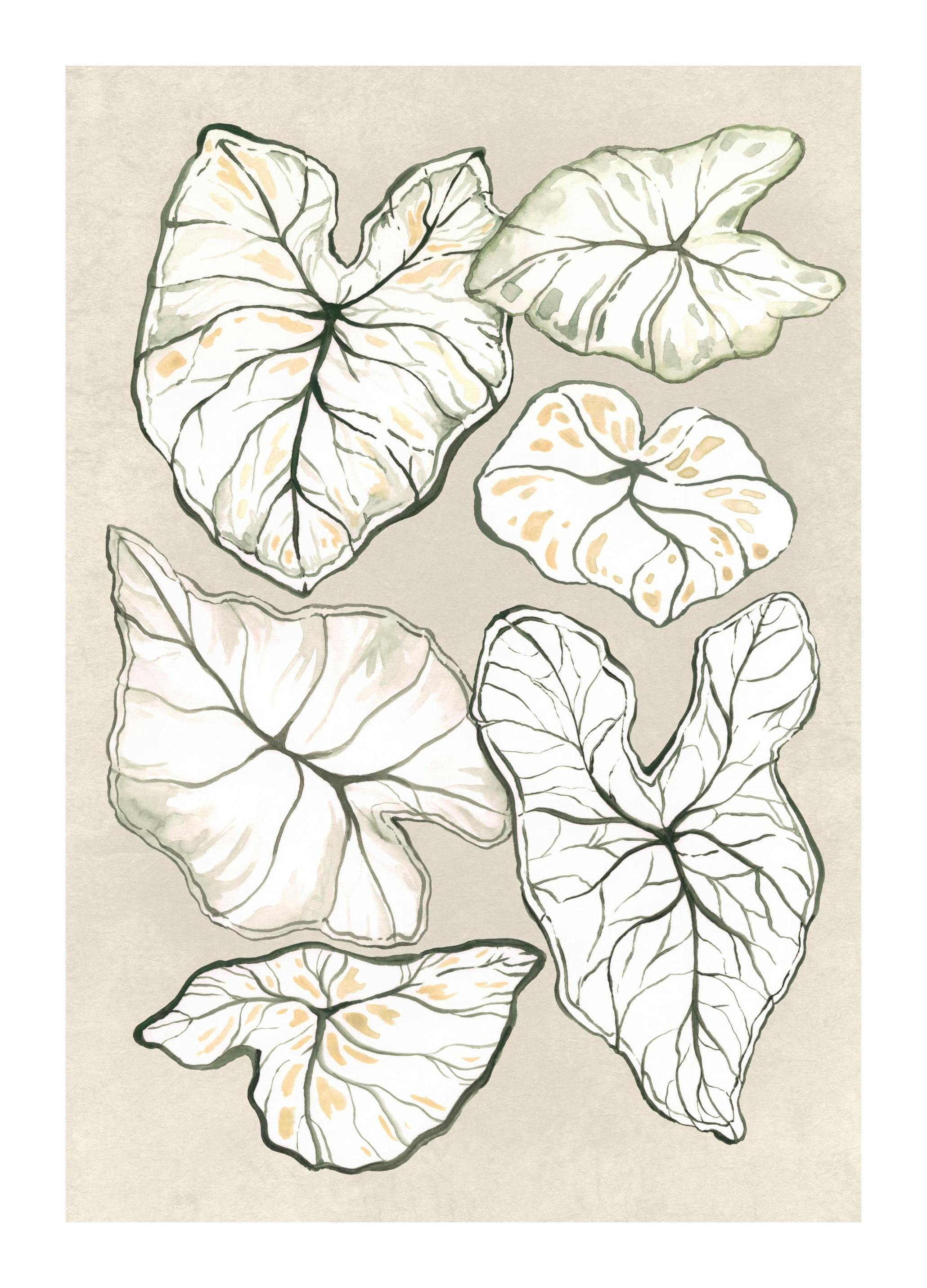 Caladium in Beige Print (30x40 cm)