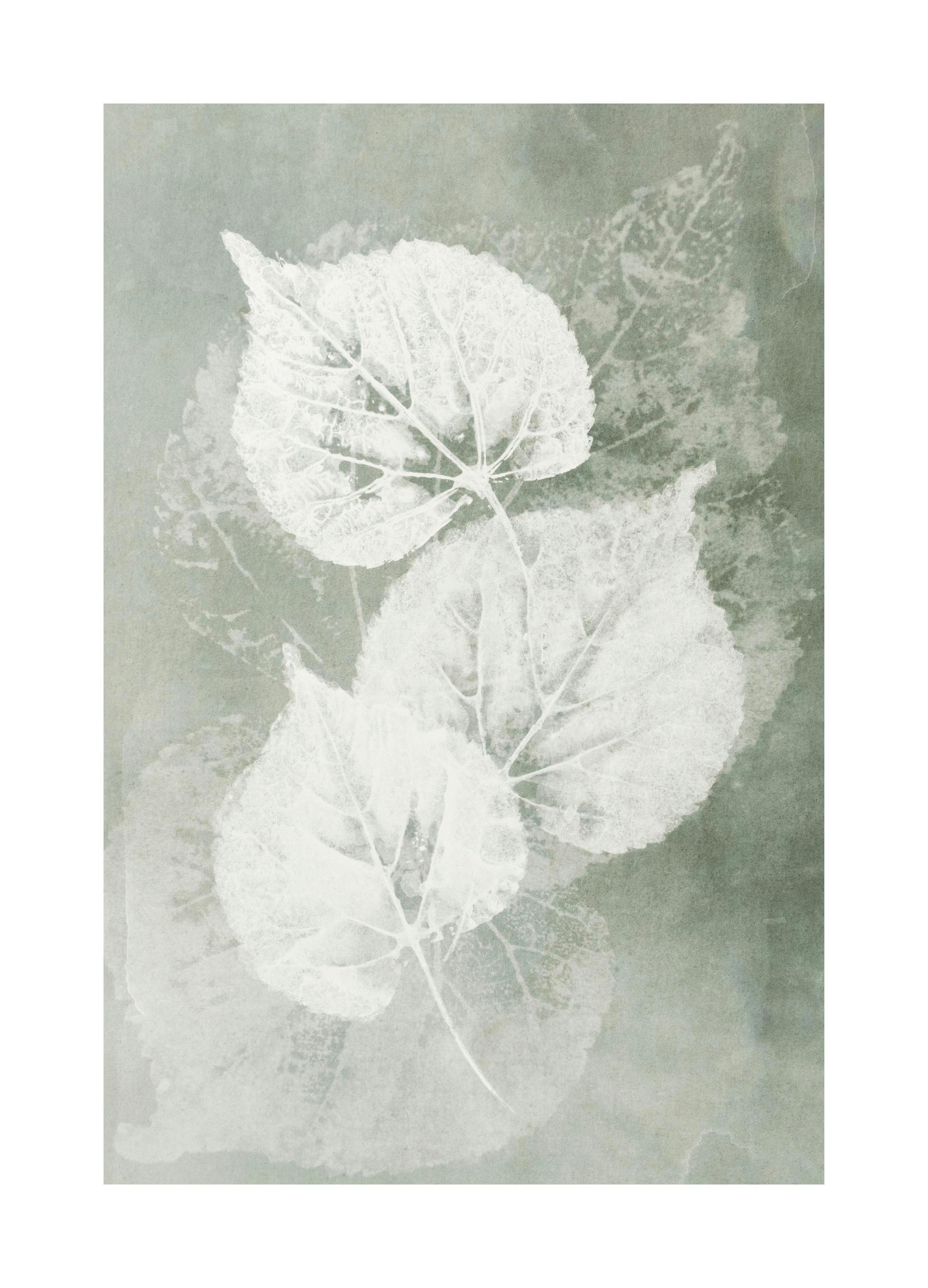 Pressed Leaves Poster (30x40 cm)