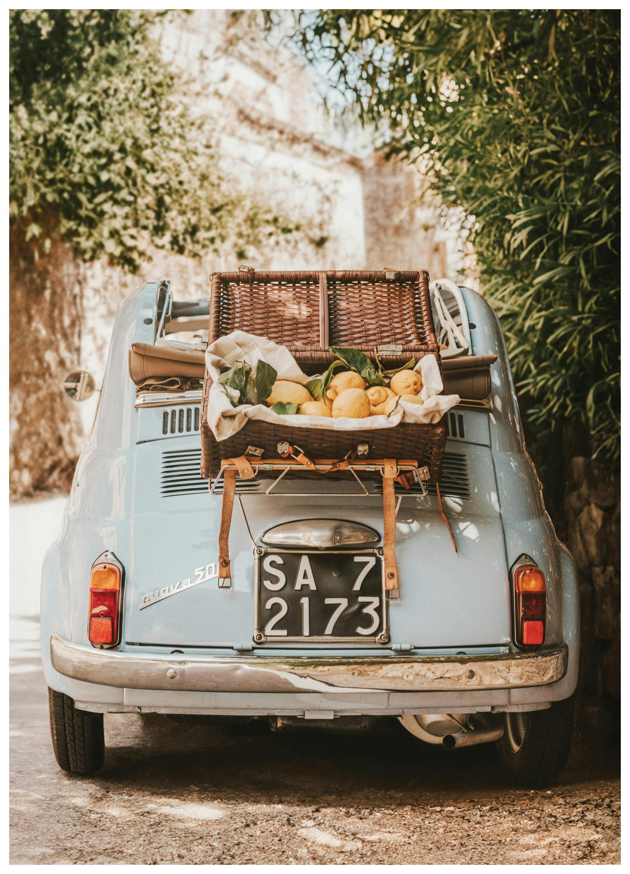 Citrus Cruise Affiche (50x70 cm) - Amalfi Lifestyle