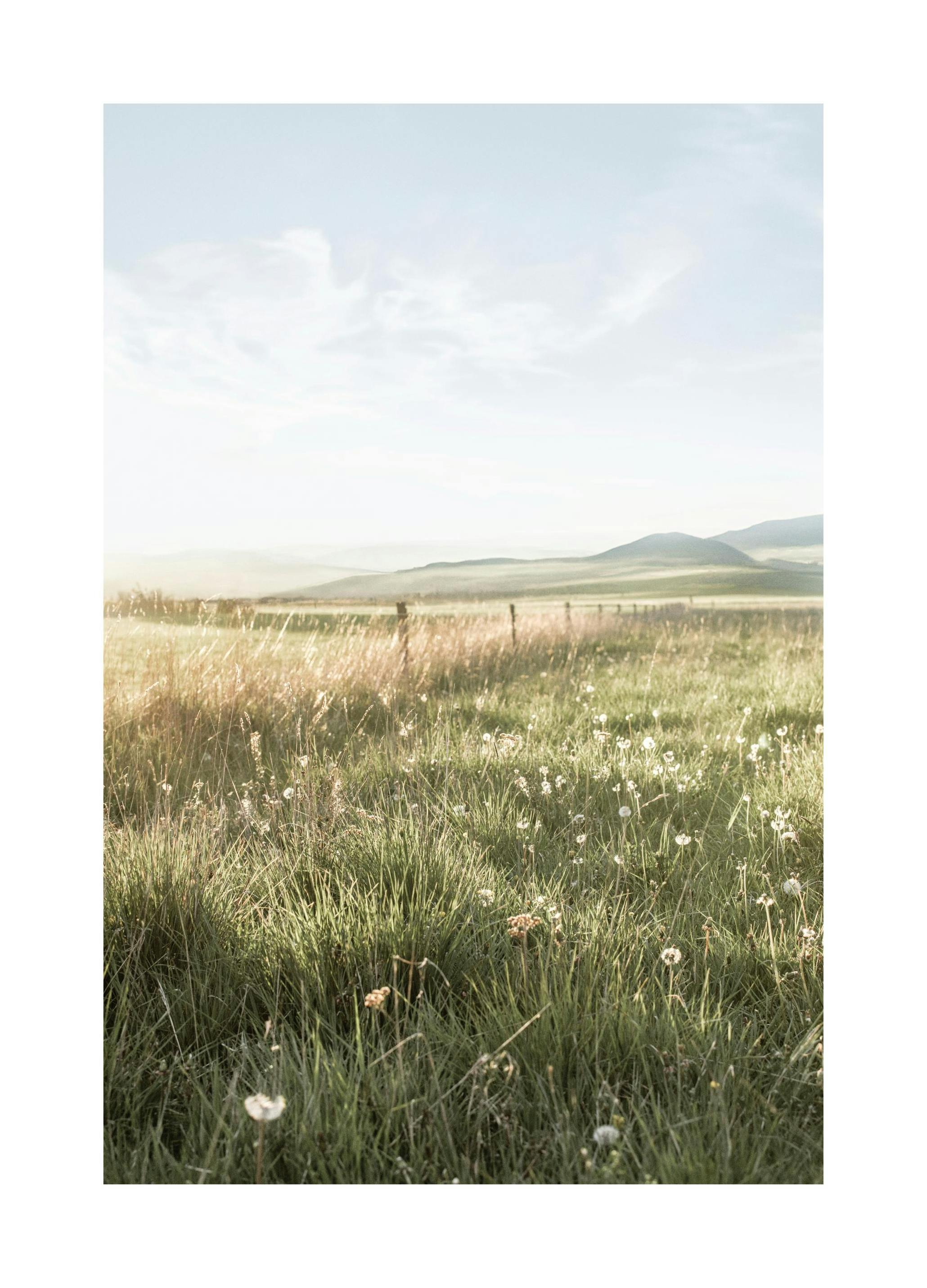 Prints - Field Sunset Print (30x40 cm) - Nature prints