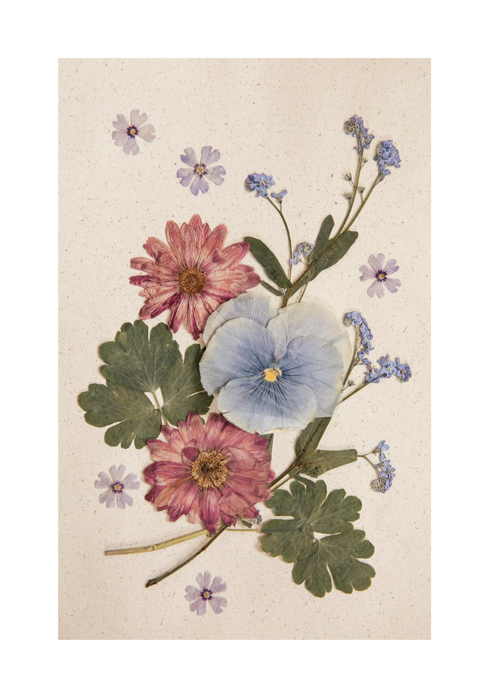 Pressed Blossom Poster – Gepresste Blumen im Vintage-Stil