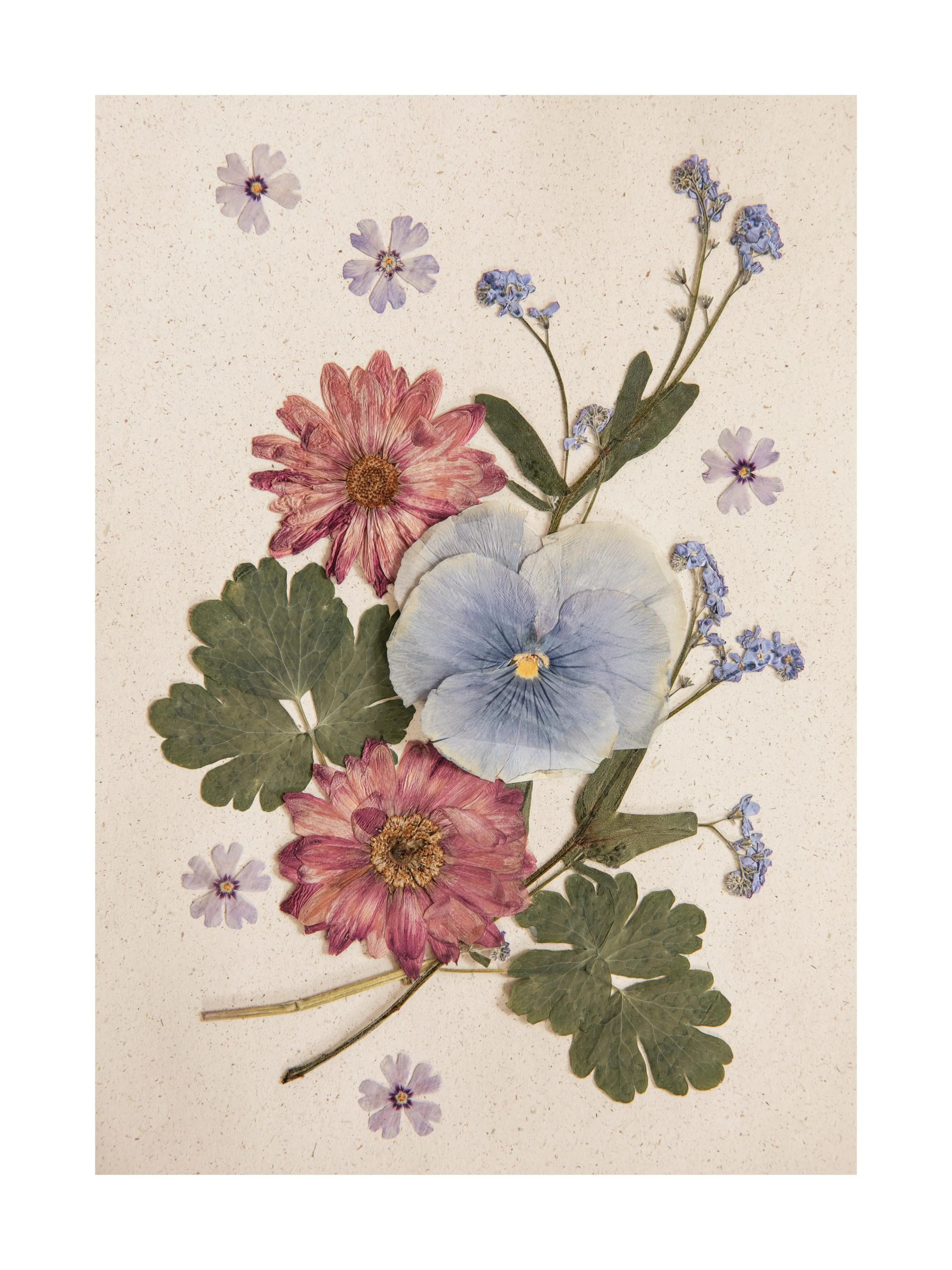 Pressed flower poster with pink, blue, and purple blossoms, green leaves, and a vintage aesthetic.