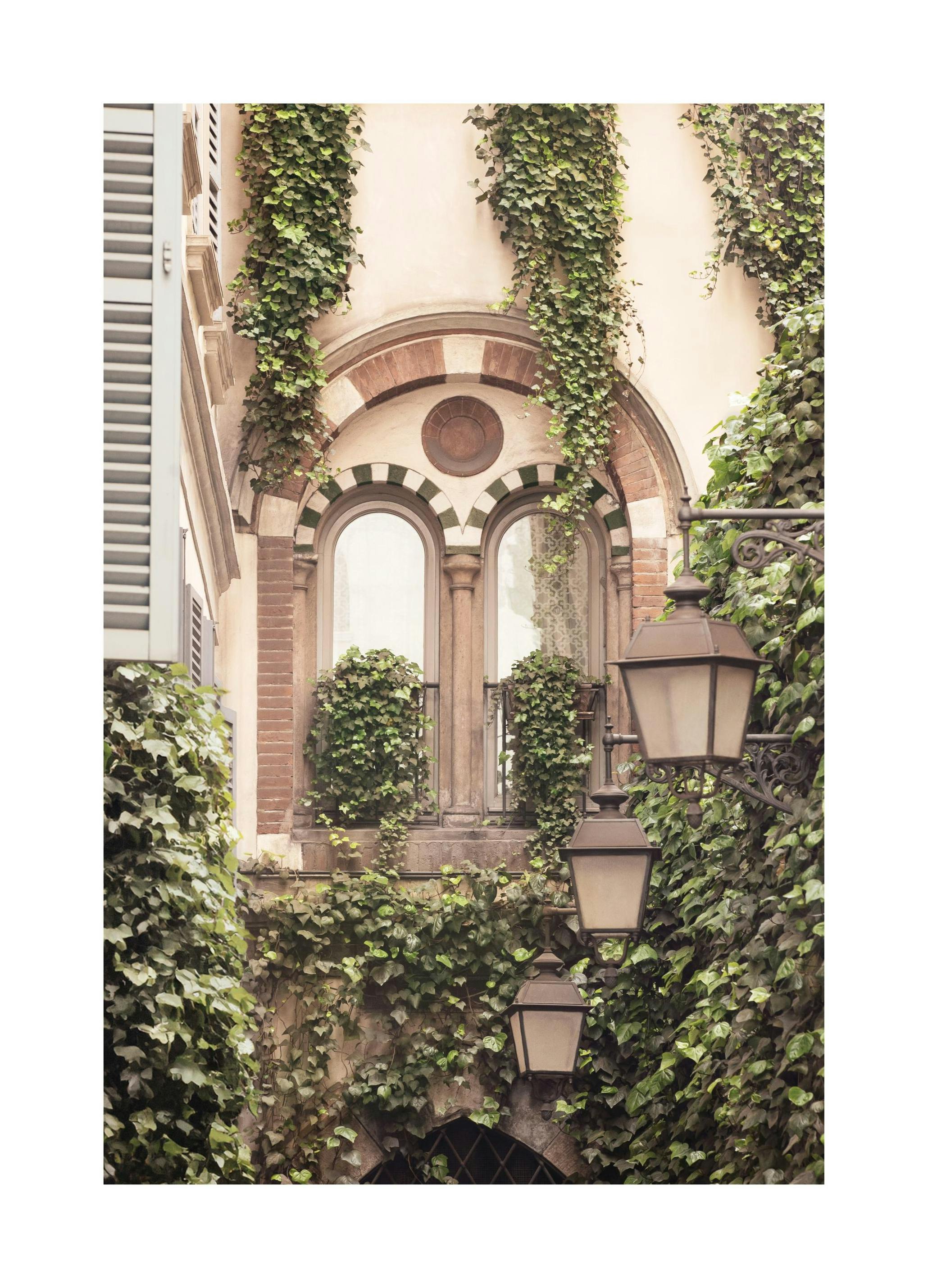 Ivy Architecture Plakat (30x40 cm)- Fotografia