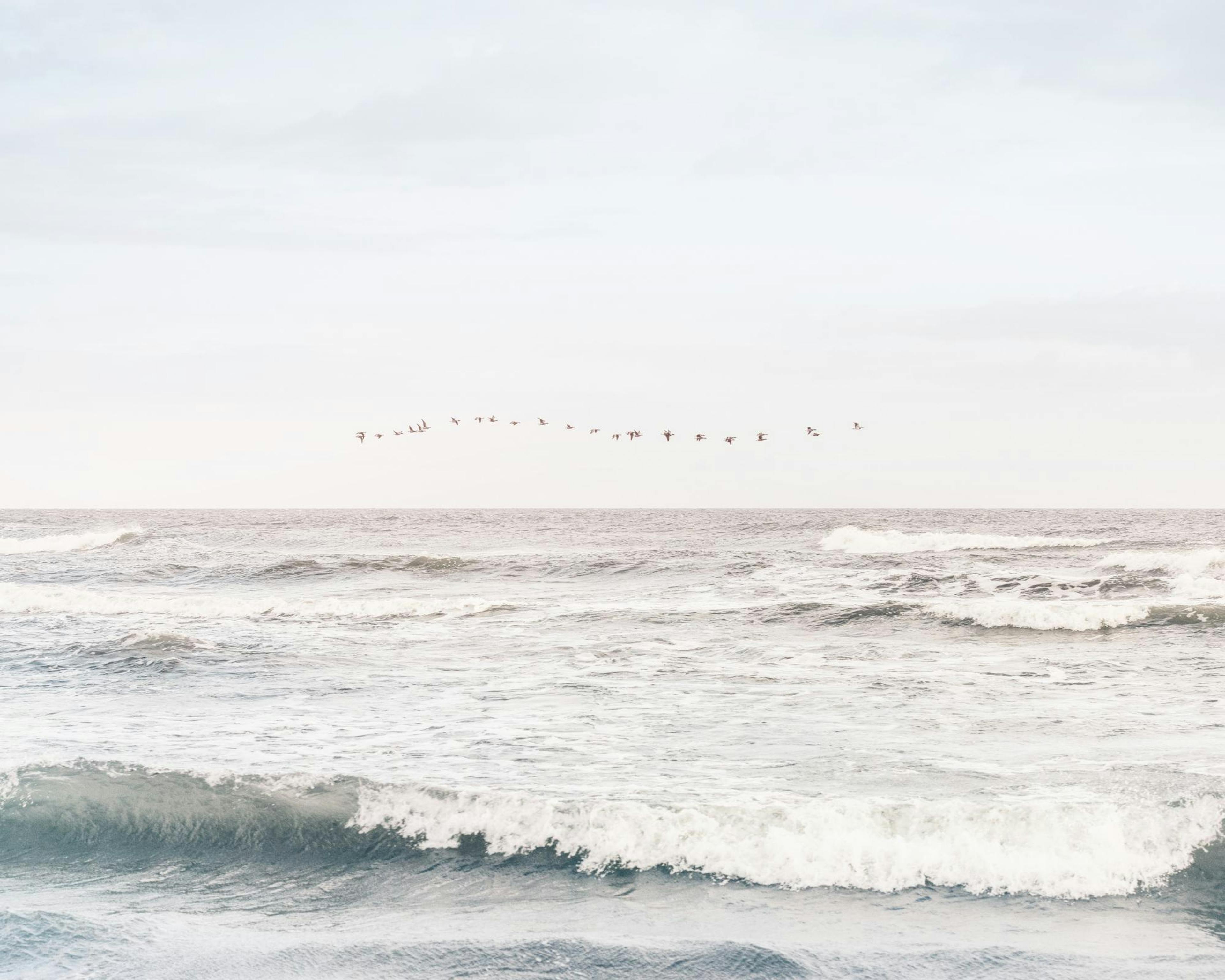 Soothing Sea Print 0