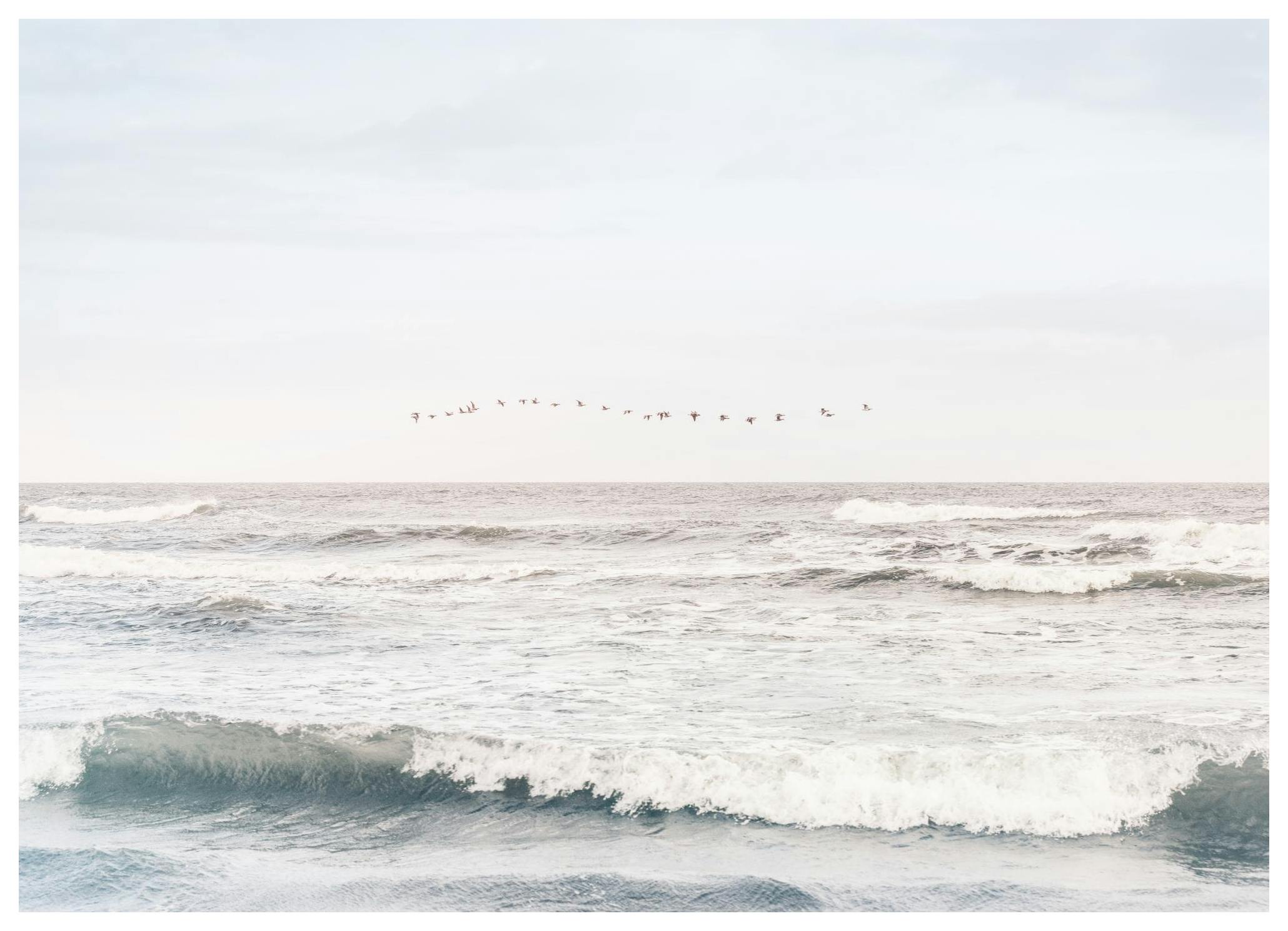 Soothing Sea Affiche (50x70 cm) - Tableaux de la mer