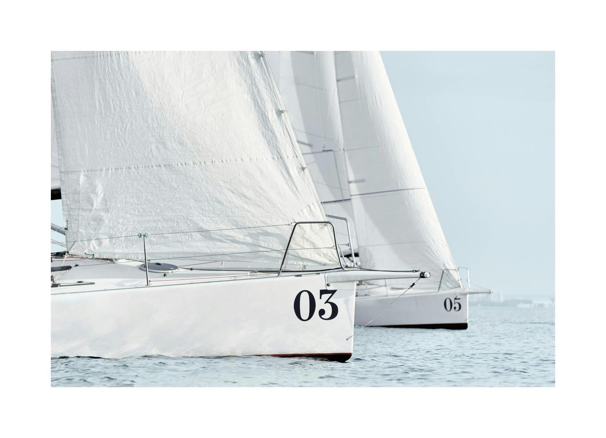 Sailboats Juliste (50x70 cm)  valokuvataide